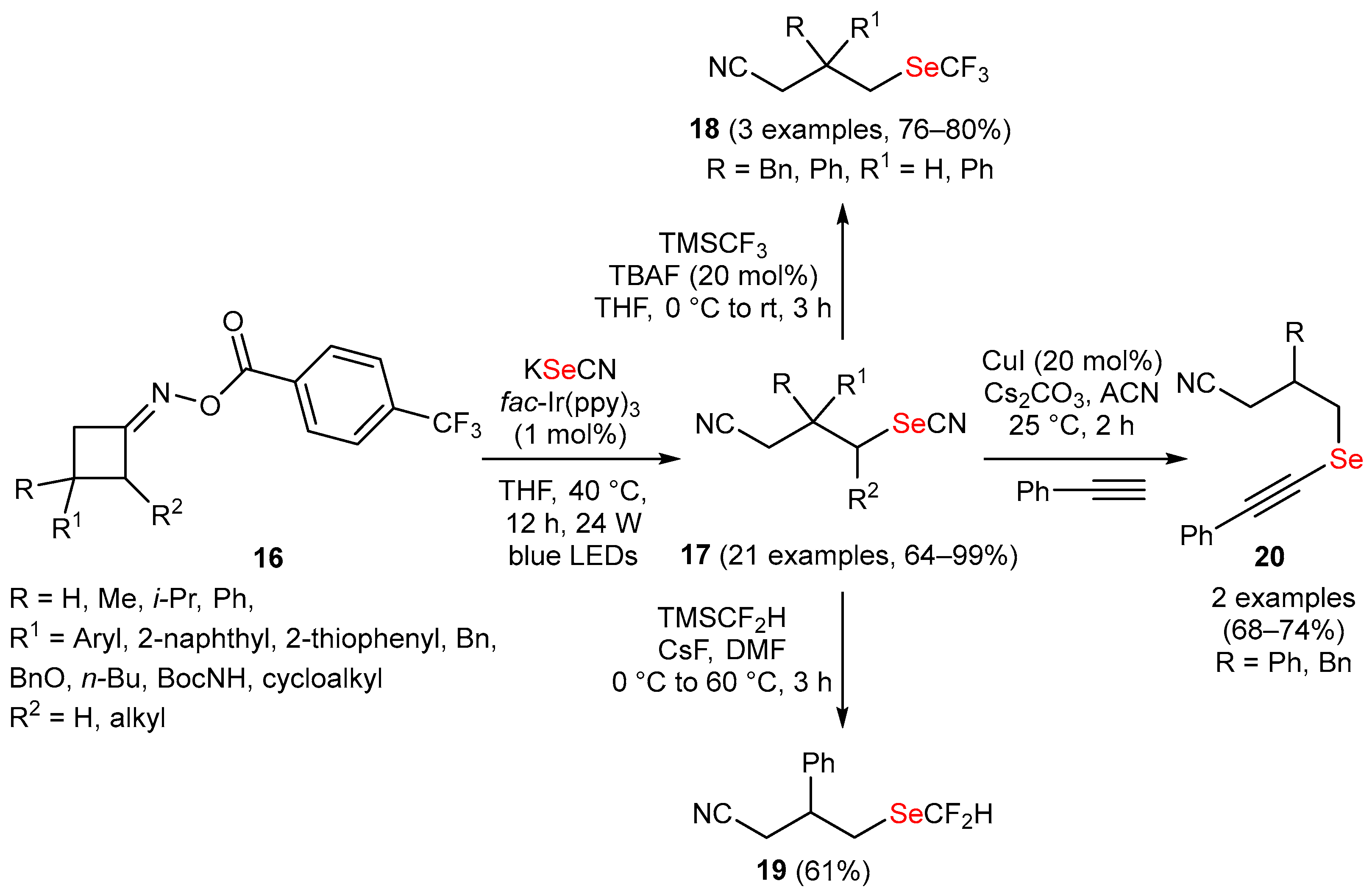 Molecules 29 05365 sch002