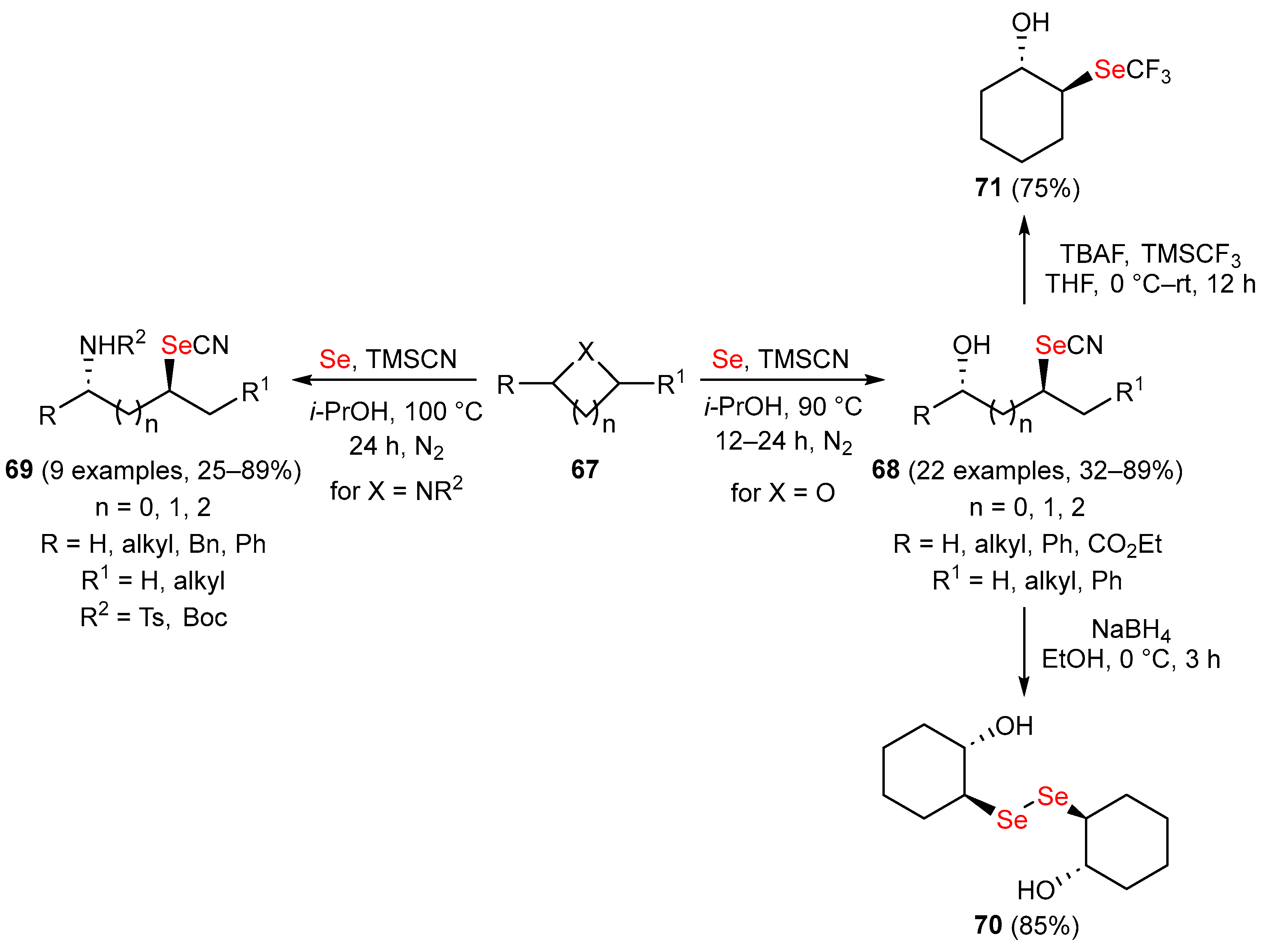 Molecules 29 05365 sch015