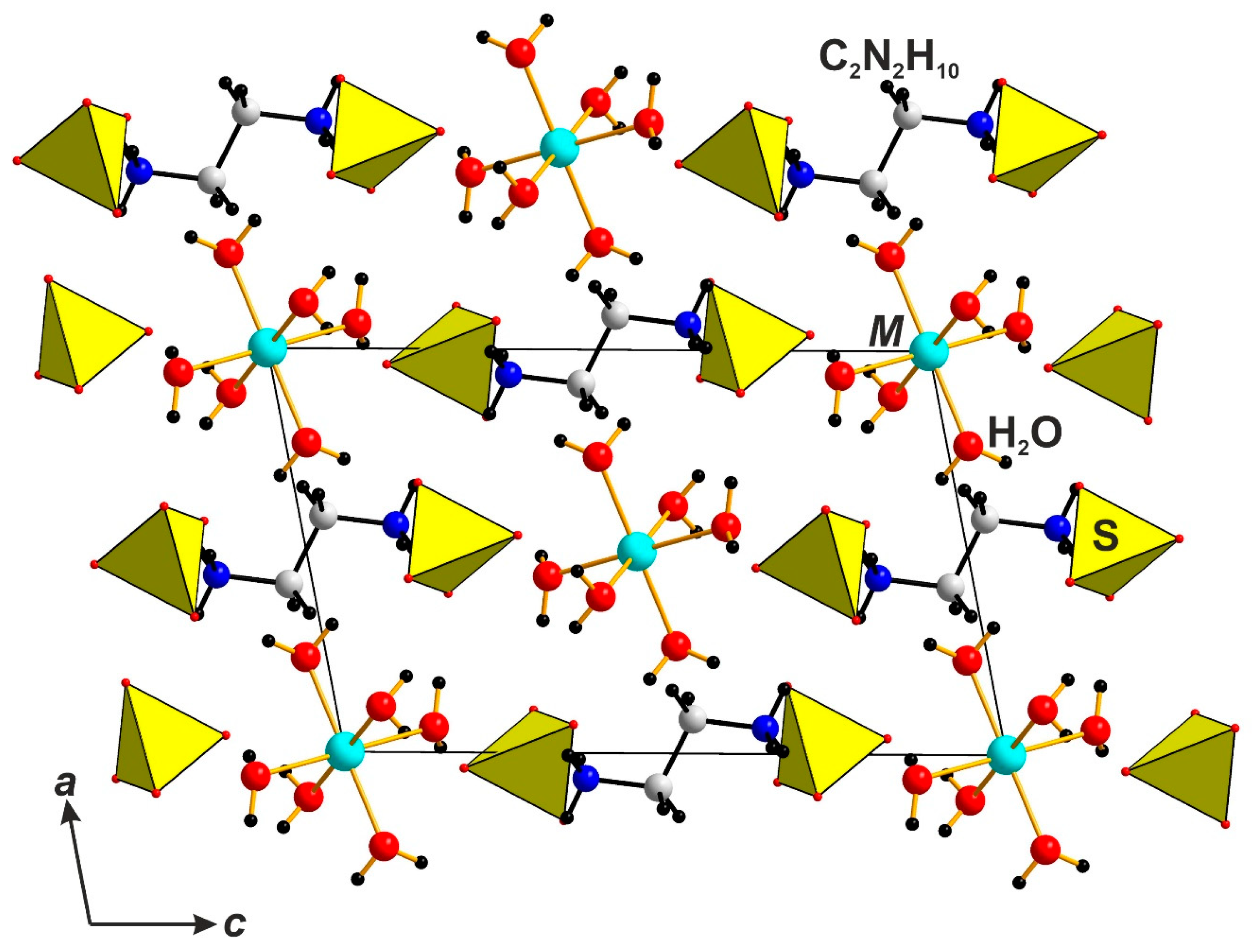 Molecules 29 05372 g005