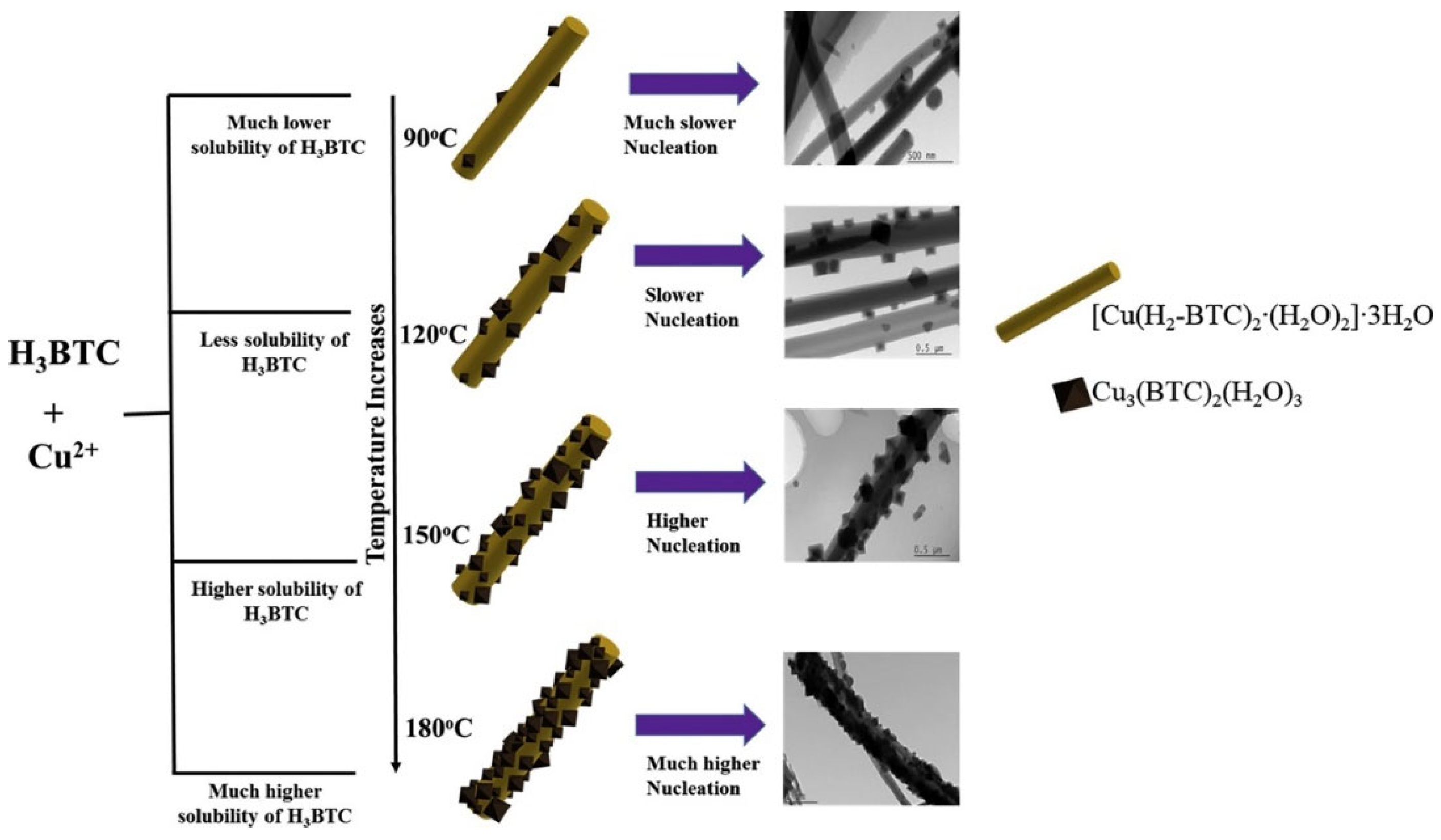 Molecules 29 05373 g003