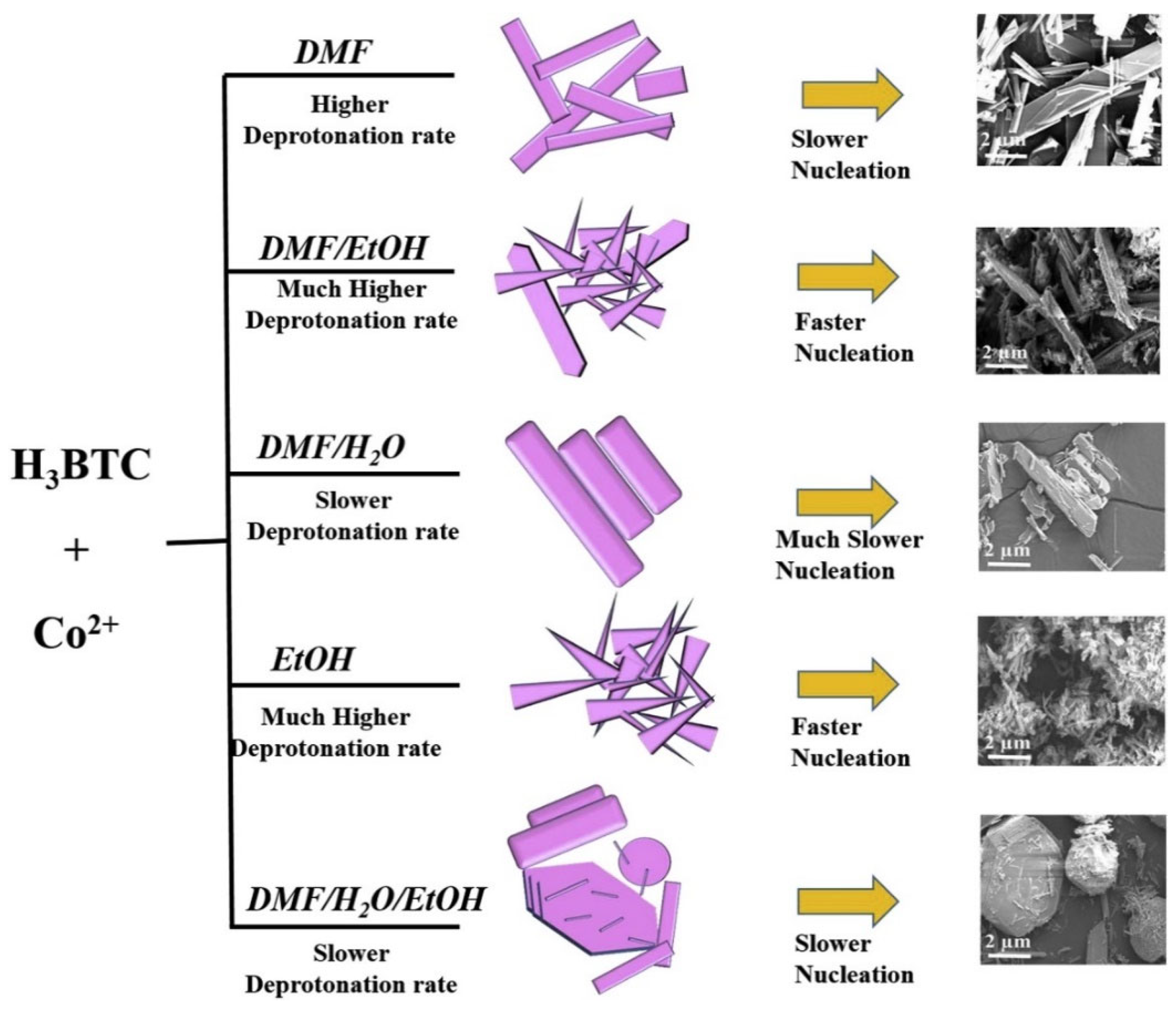 Molecules 29 05373 g005