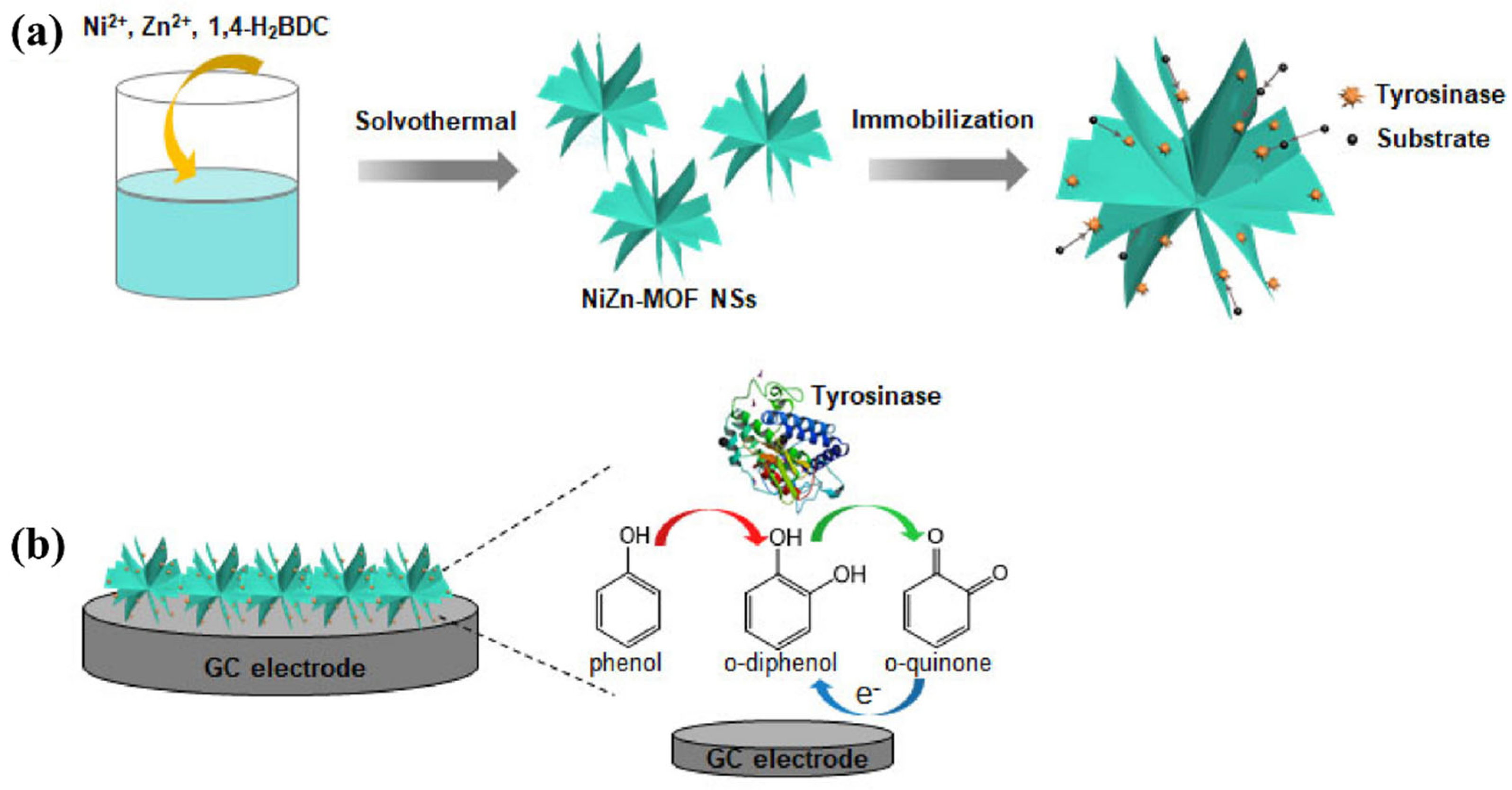 Molecules 29 05373 g016