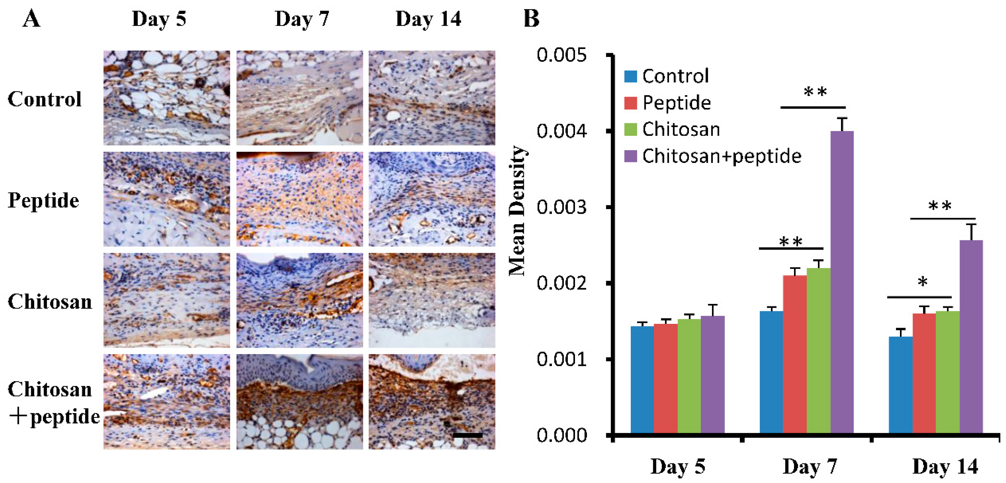 Molecules 29 05374 g002