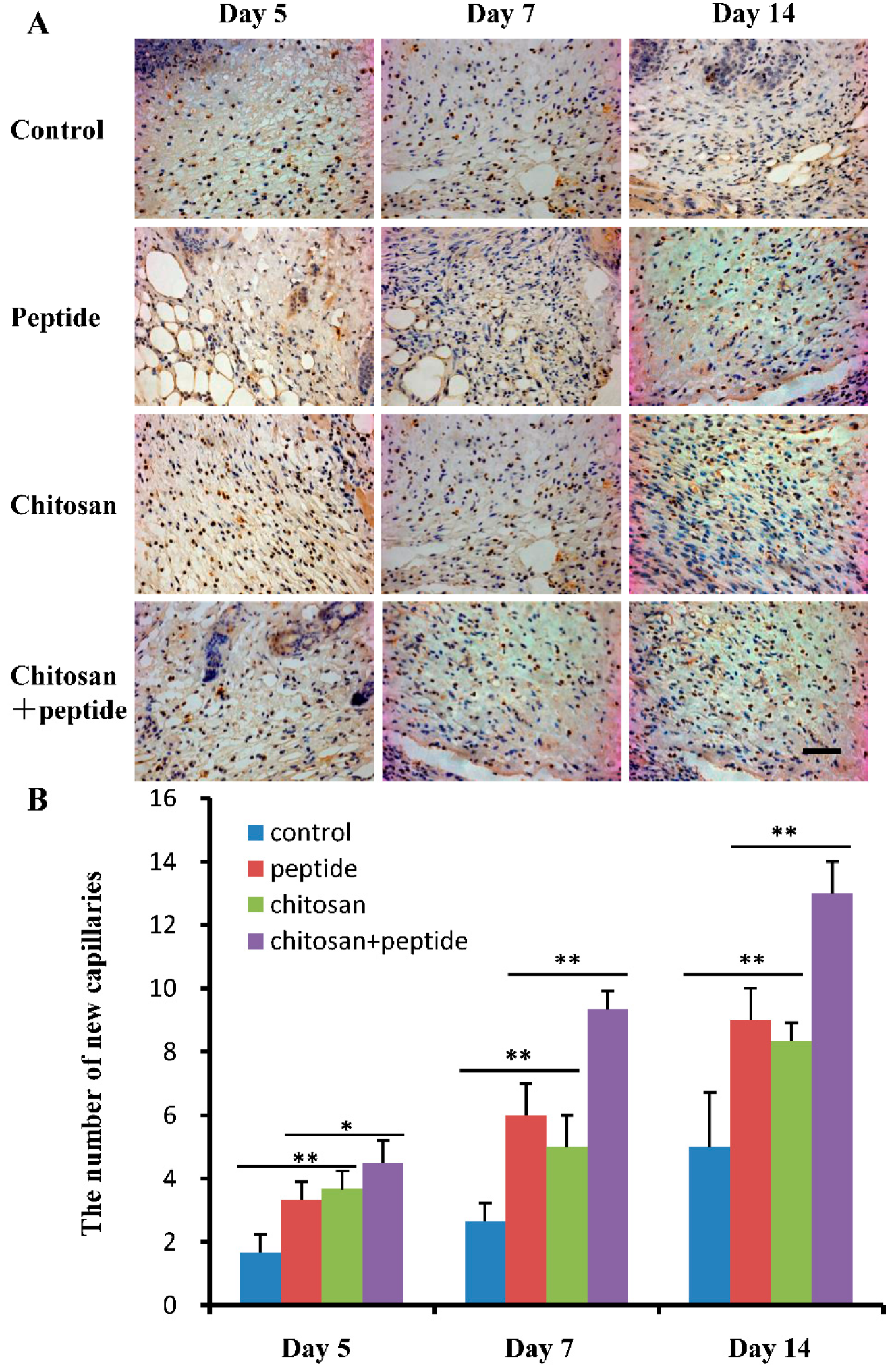 Molecules 29 05374 g004