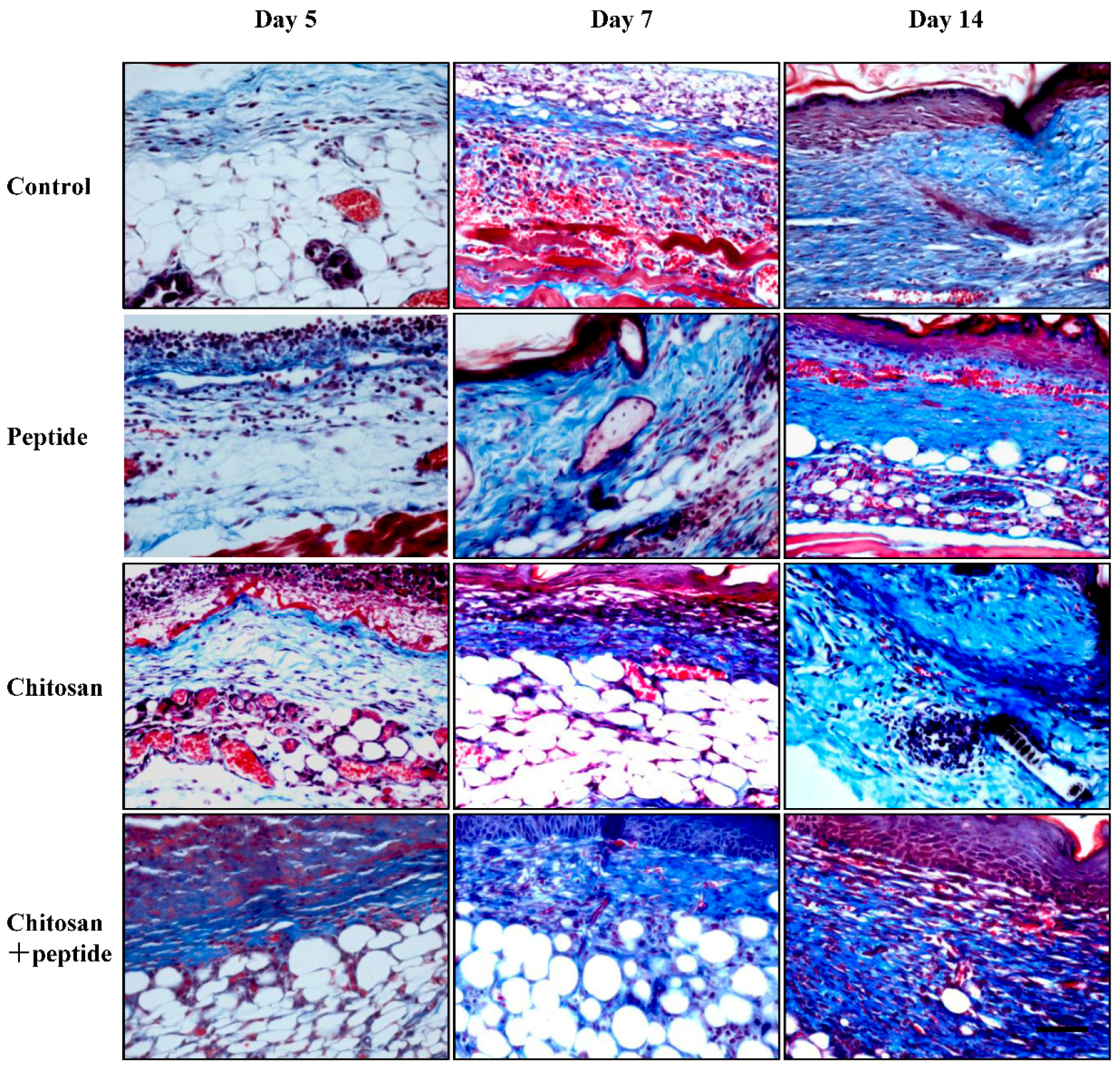 Molecules 29 05374 g005