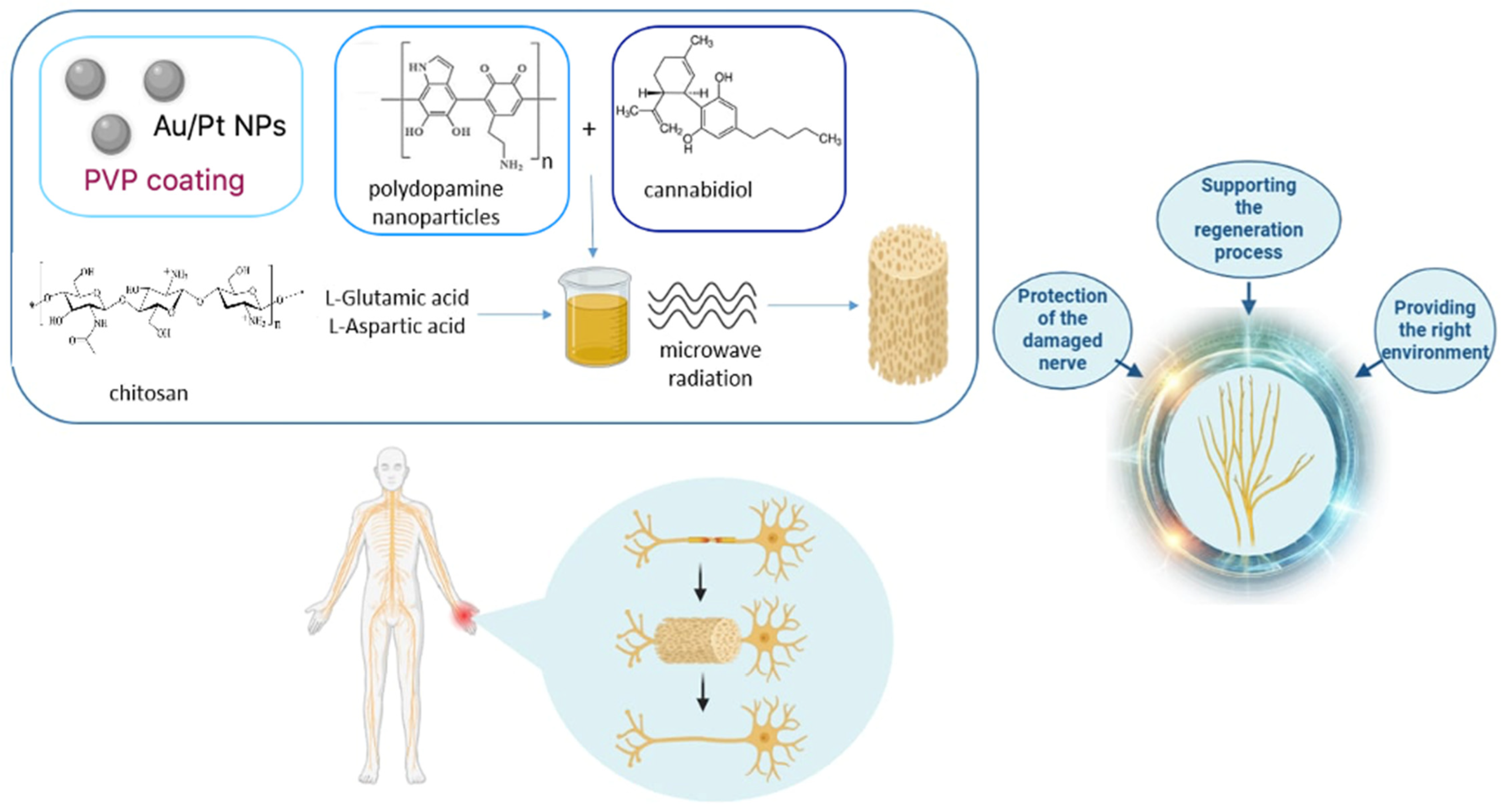 Molecules 29 05376 g001