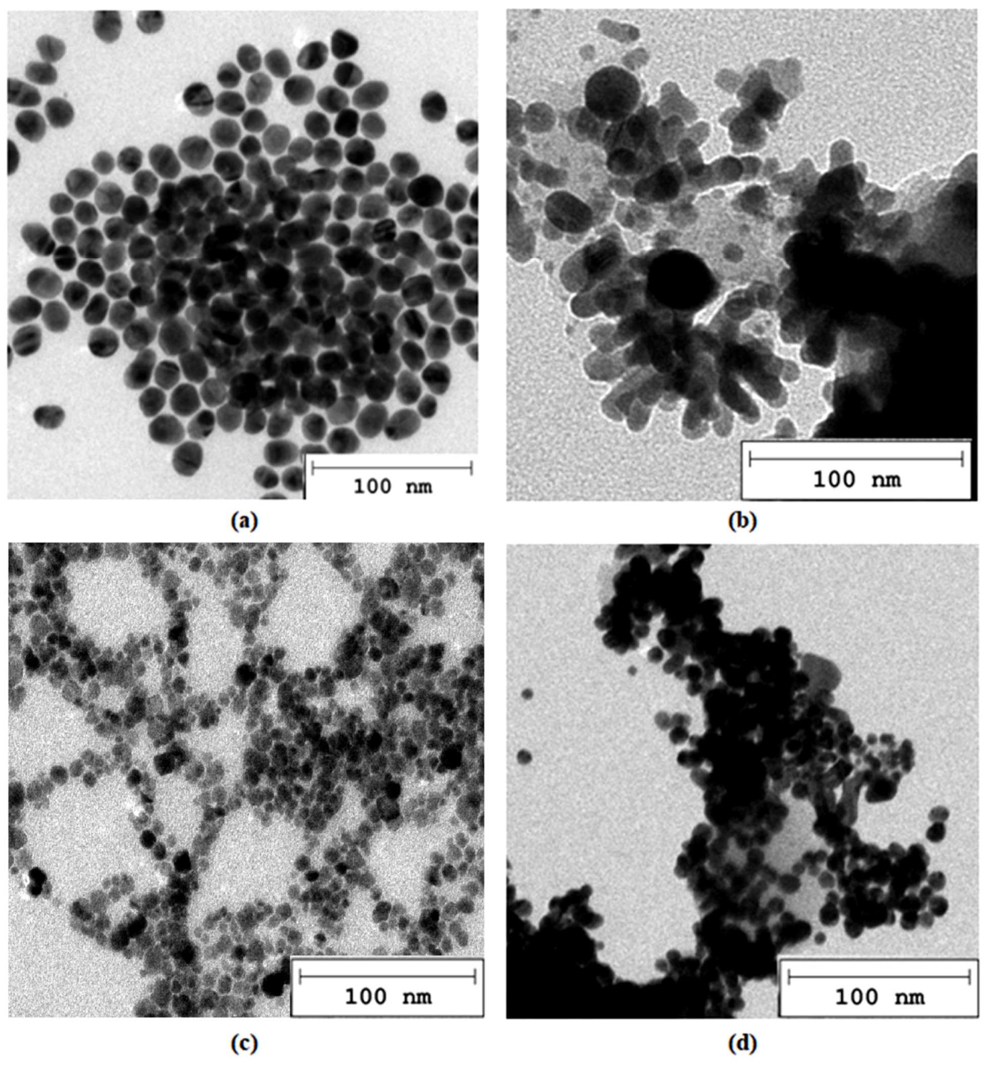 Molecules 29 05376 g002