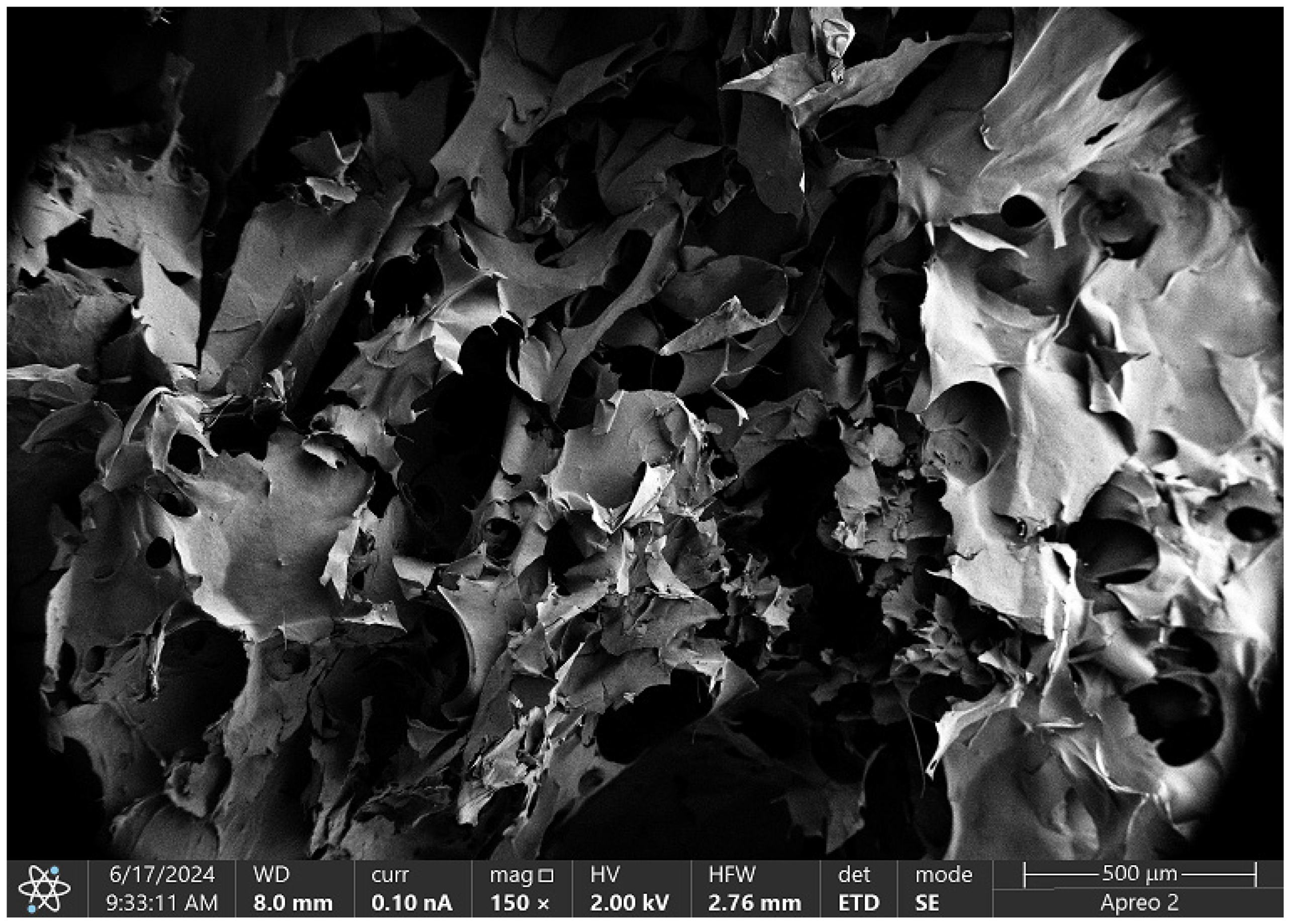 Molecules 29 05376 g016