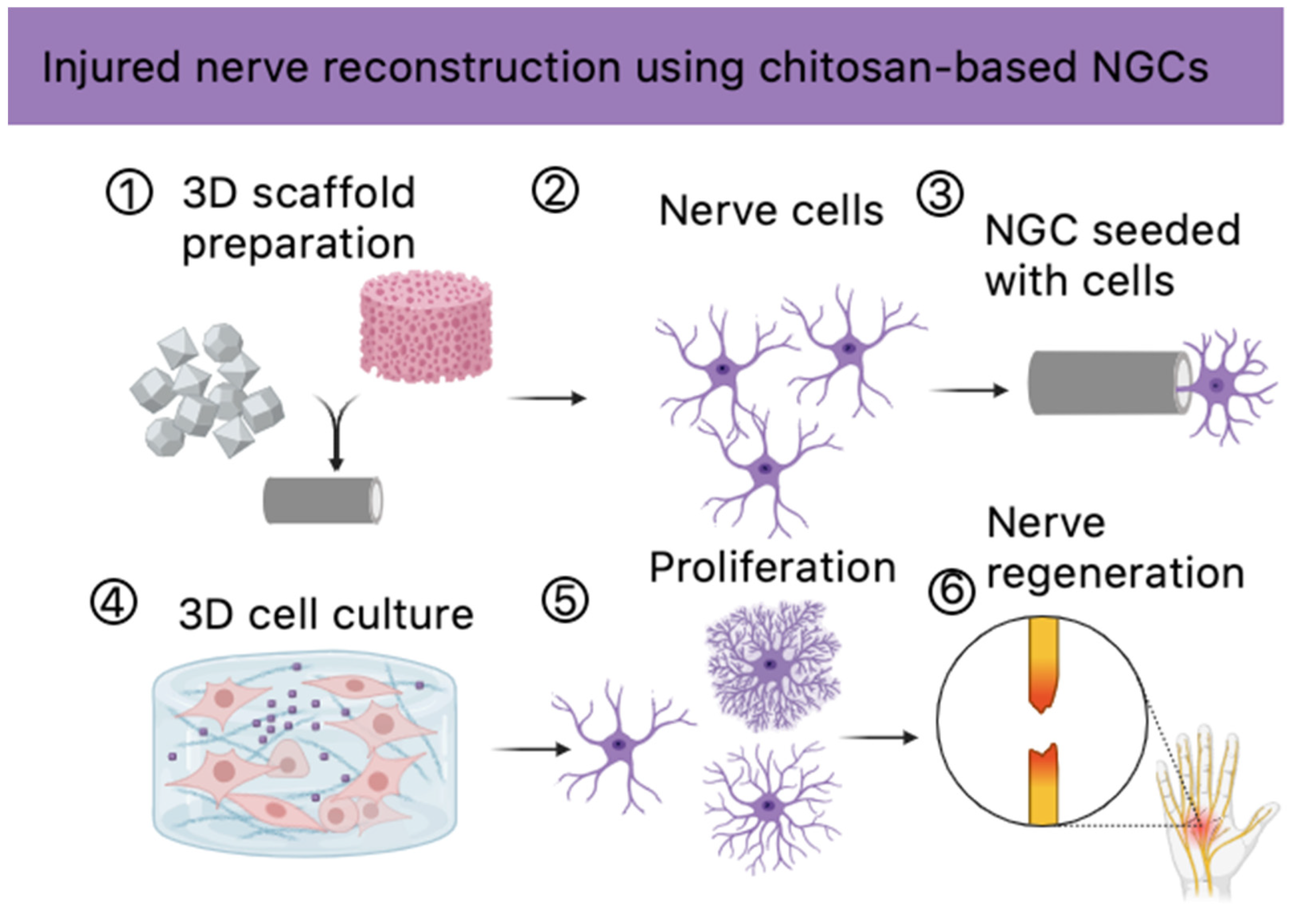Molecules 29 05376 g019