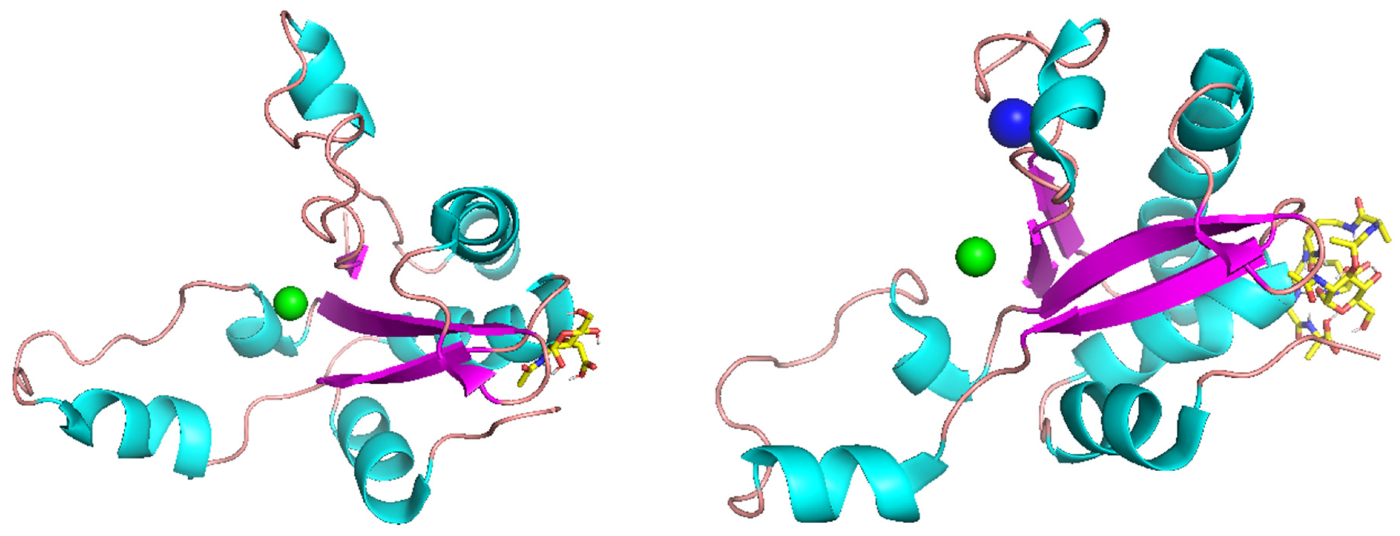 Molecules 29 05386 g002