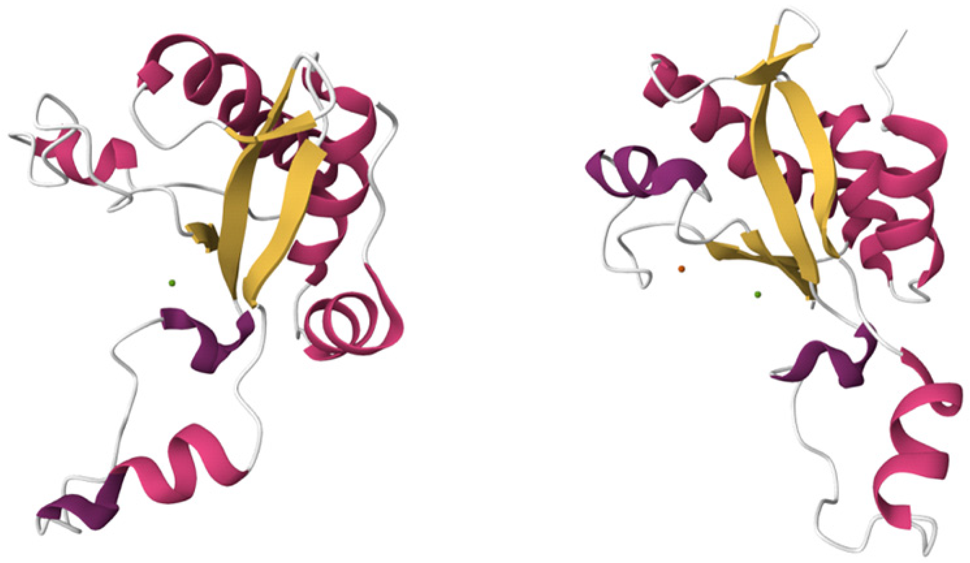 Molecules 29 05386 g005