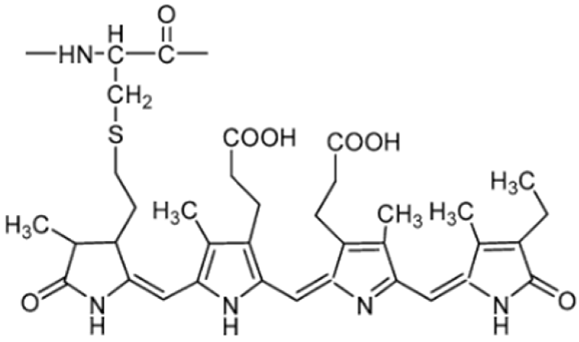 Molecules 29 05387 g001
