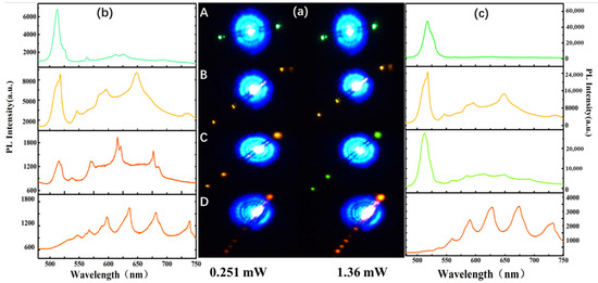 Excitation-Power-Dependent Color Tuning in a Single Sn-Doped