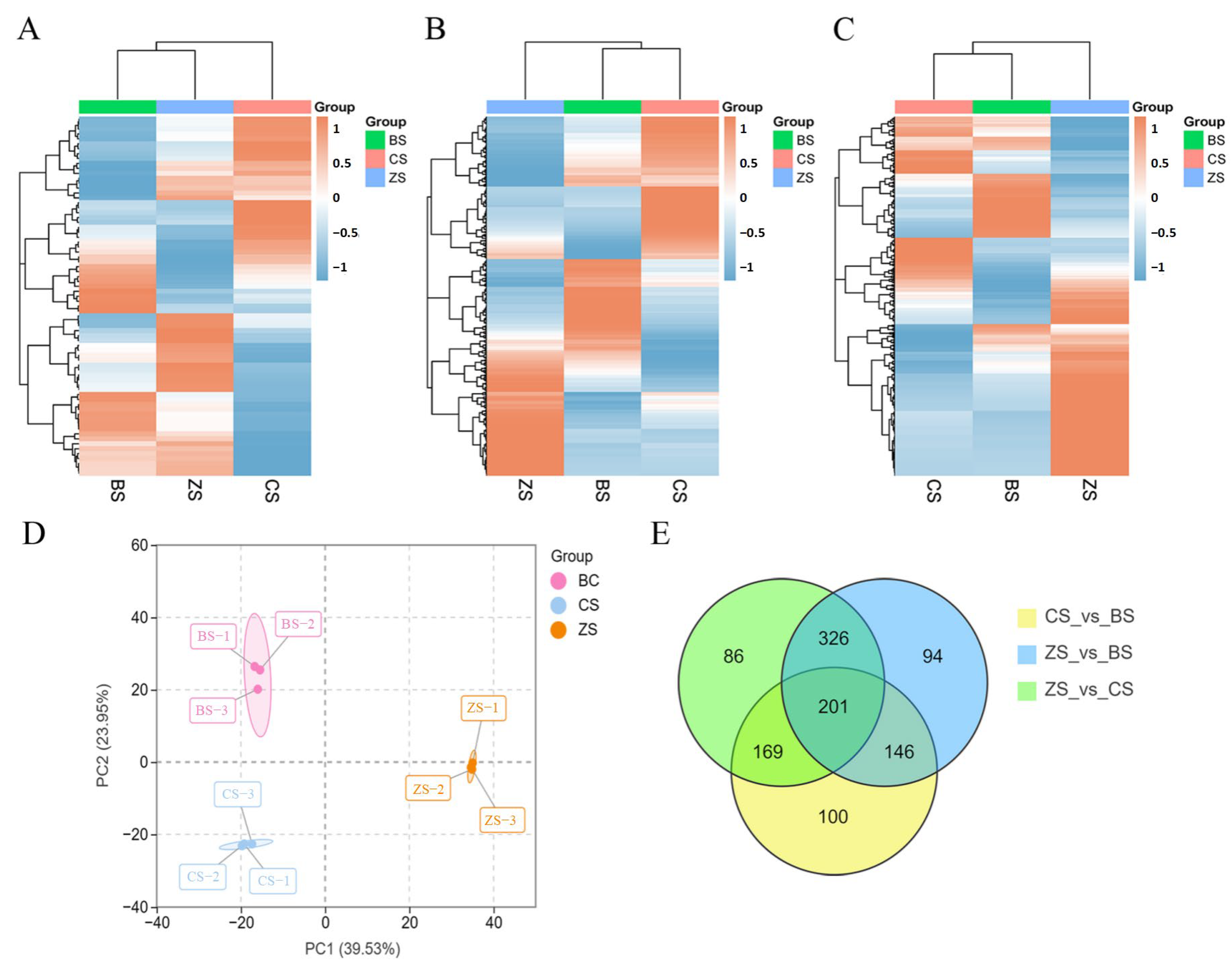 Molecules 29 05395 g001