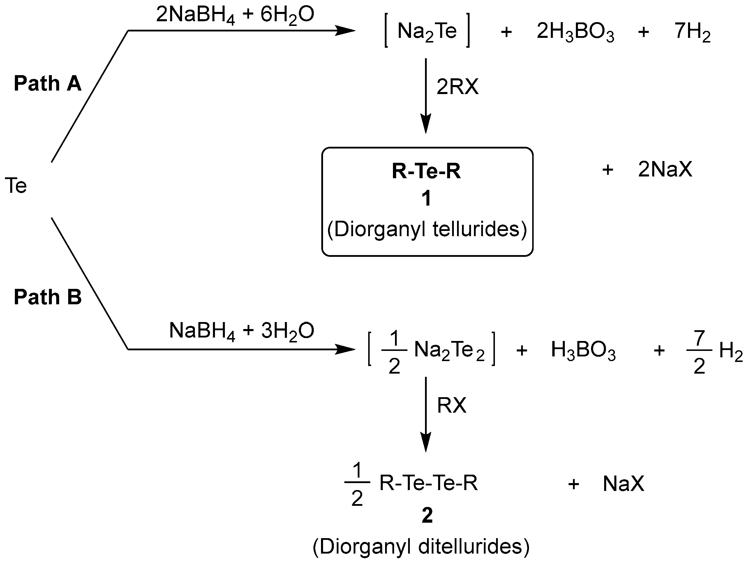 Molecules 29 05398 sch002