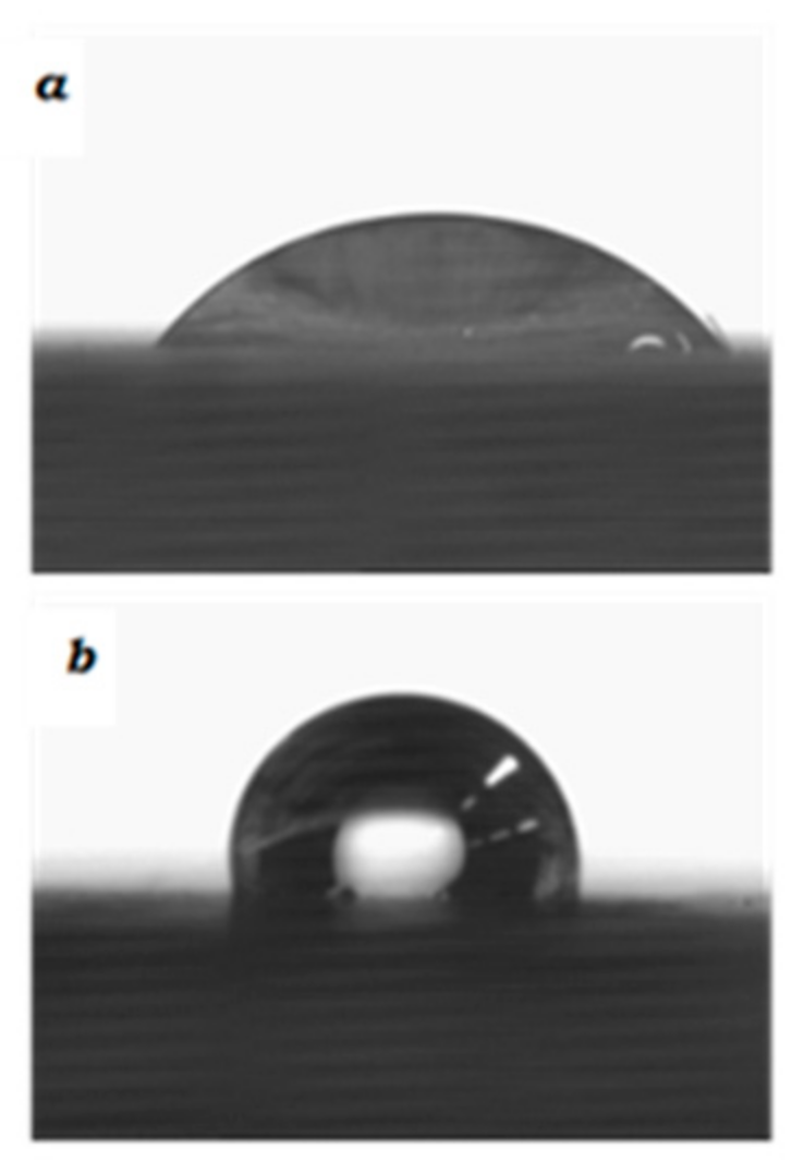 Molecules 29 05401 g013b