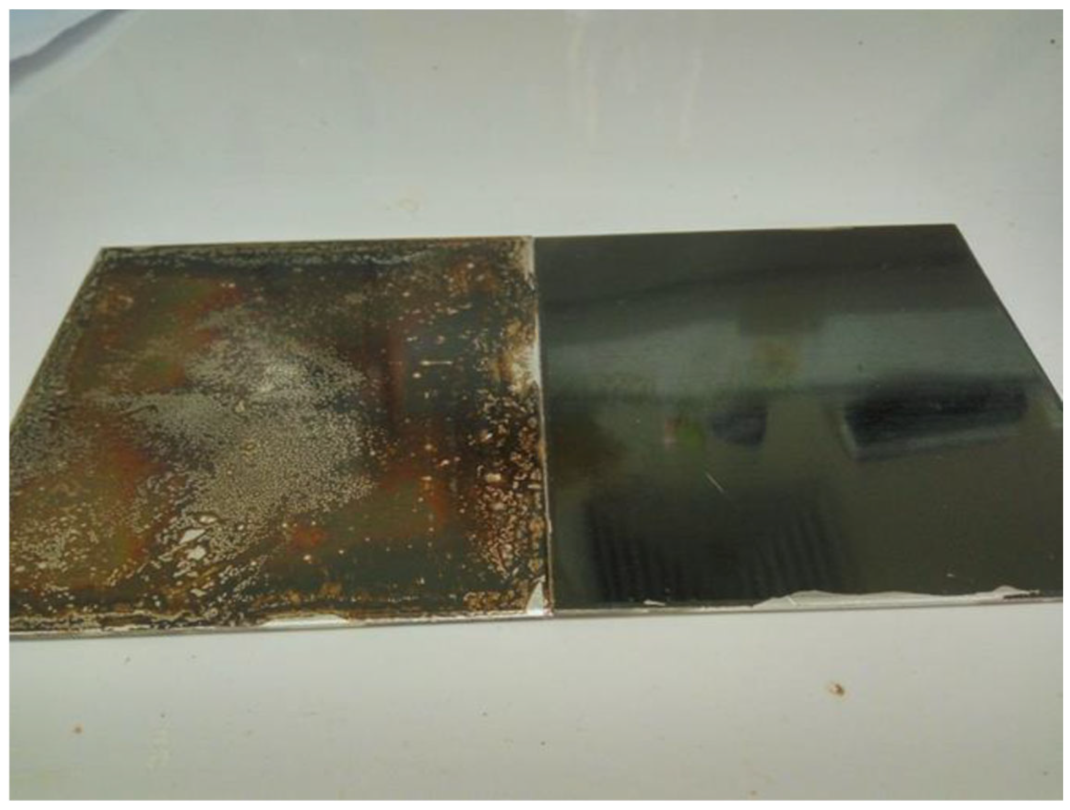 Molecules 29 05401 g017