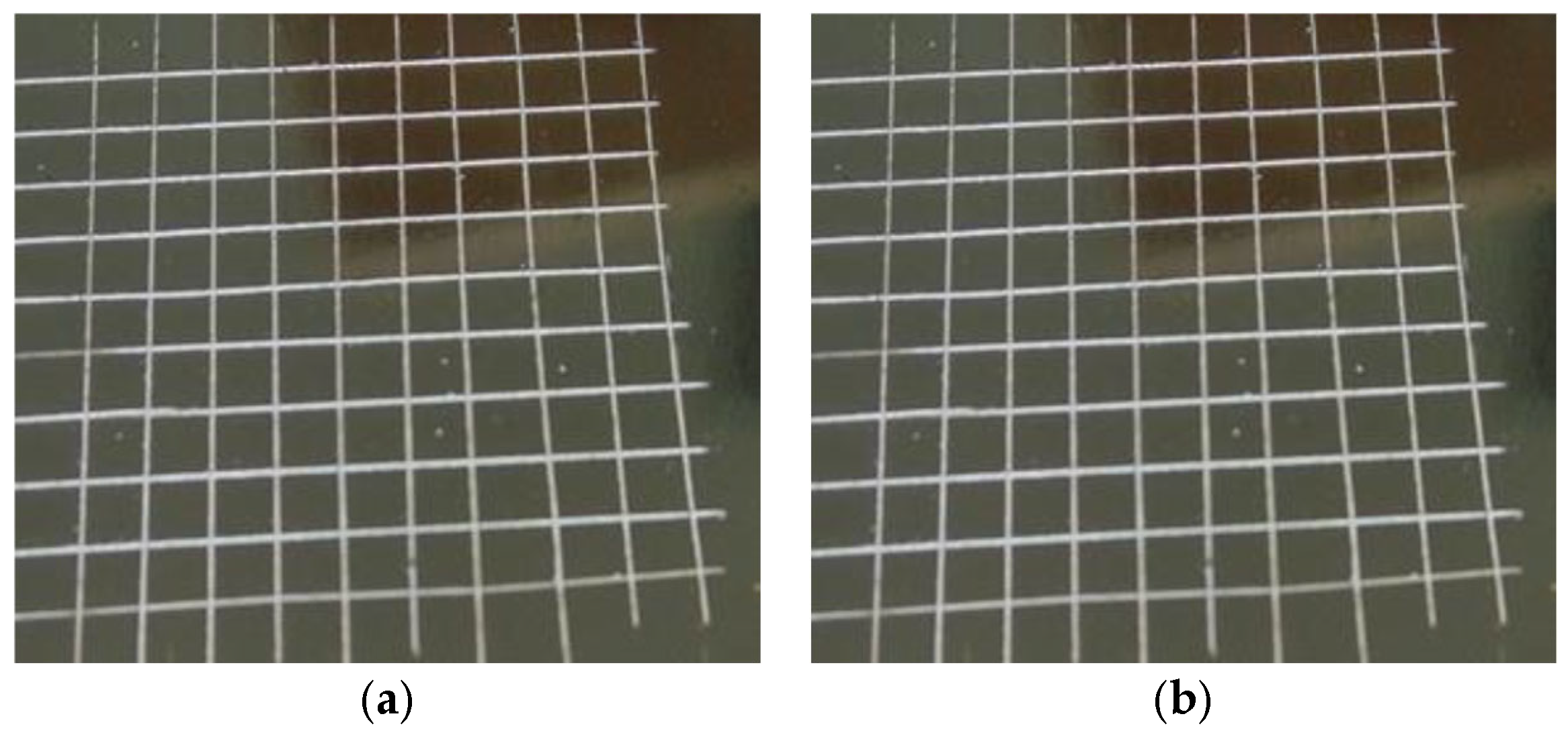 Molecules 29 05401 g018