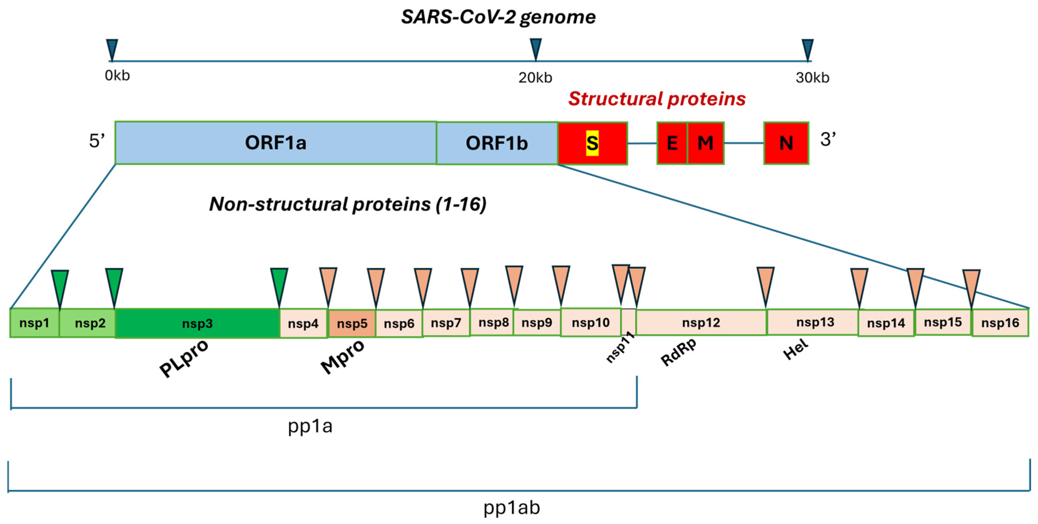 Molecules 29 05403 g002