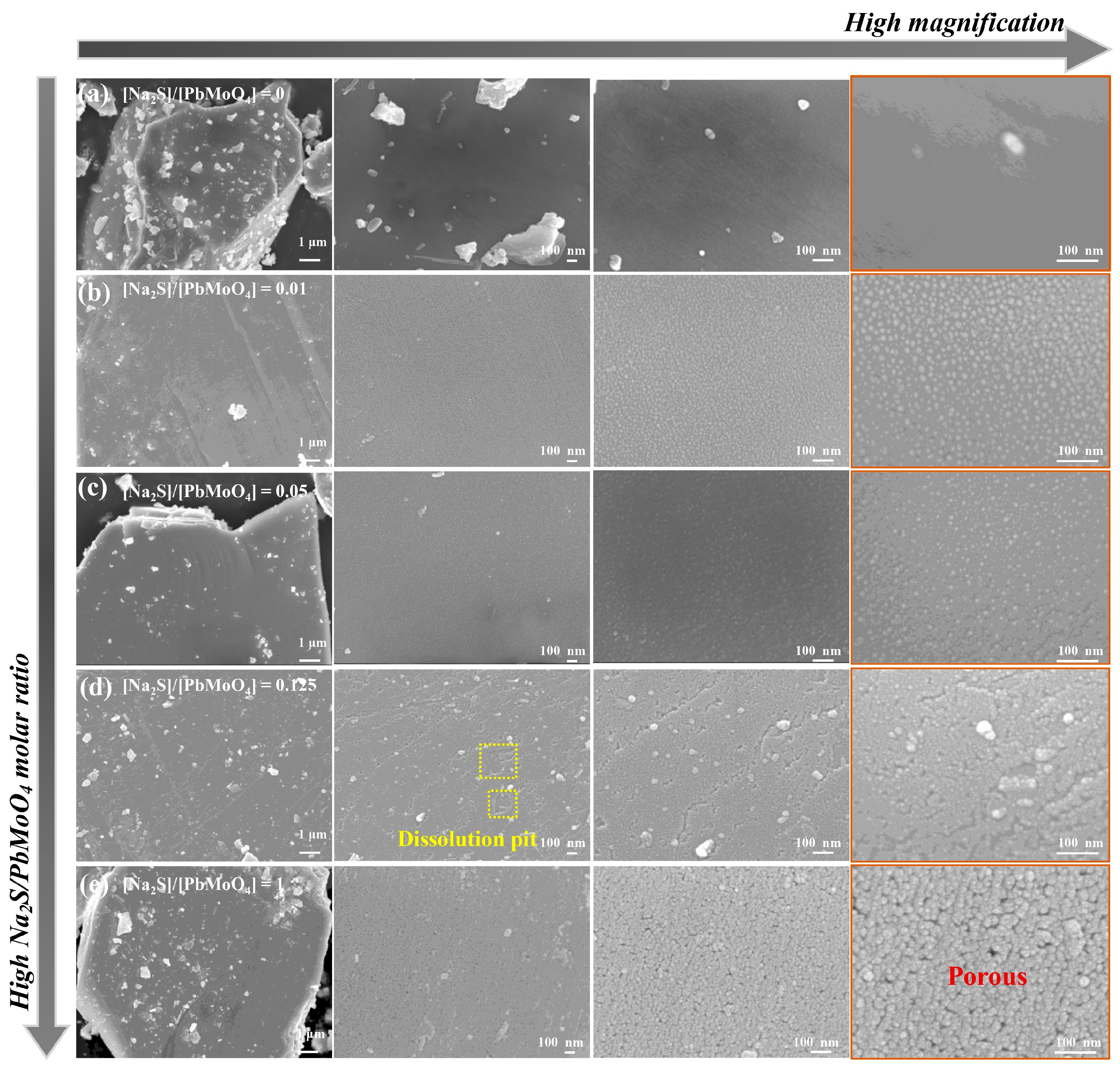 Molecules 29 05404 g005