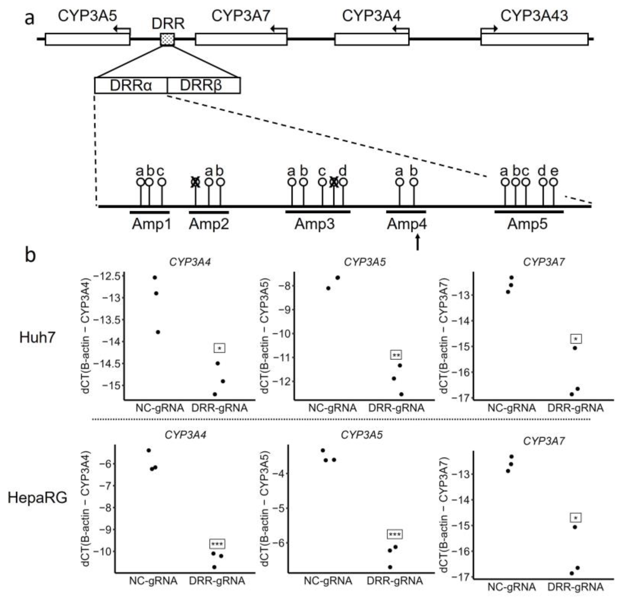Molecules 29 05407 g001