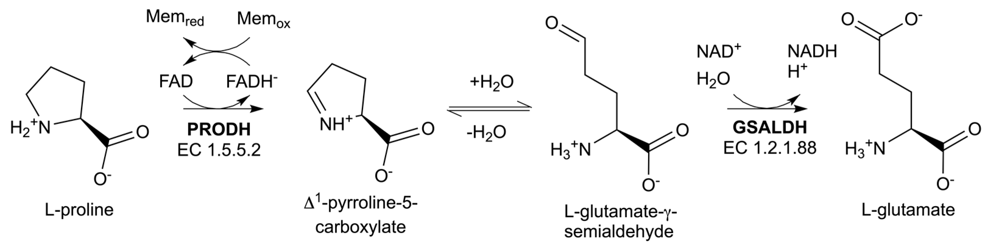 Molecules 29 05408 g001
