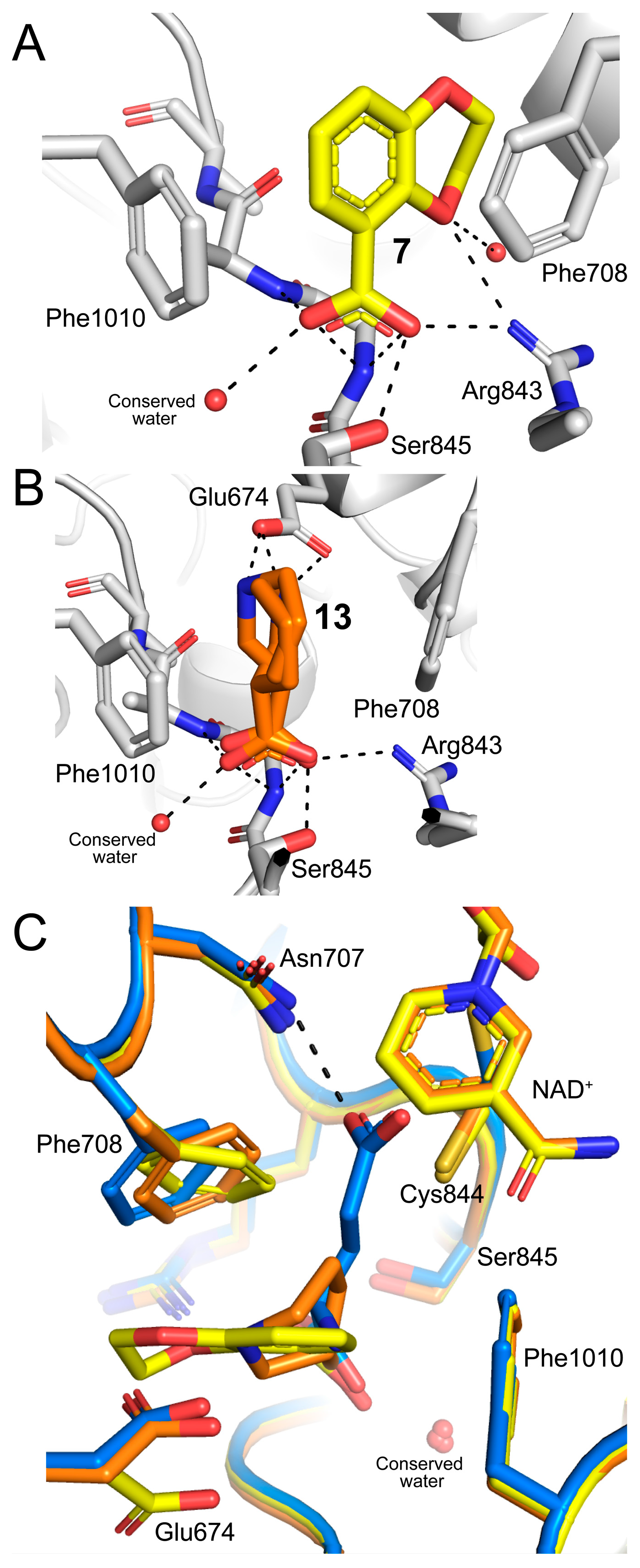 Molecules 29 05408 g004