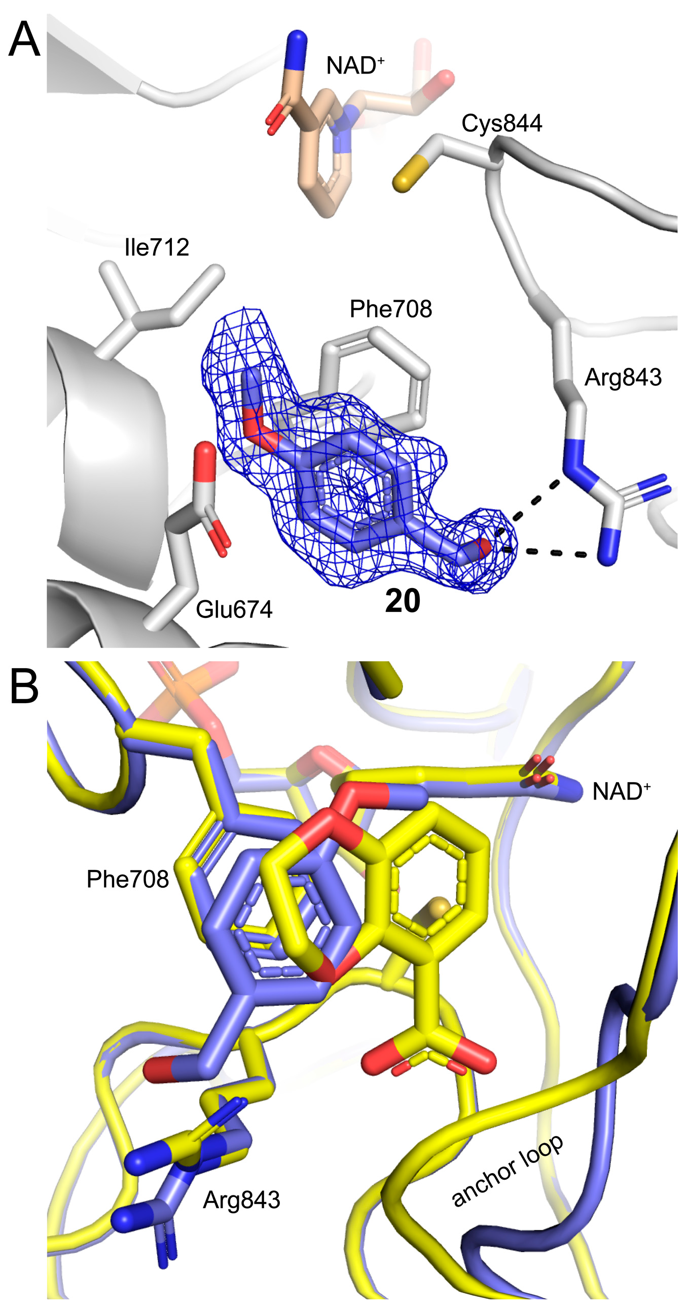 Molecules 29 05408 g005