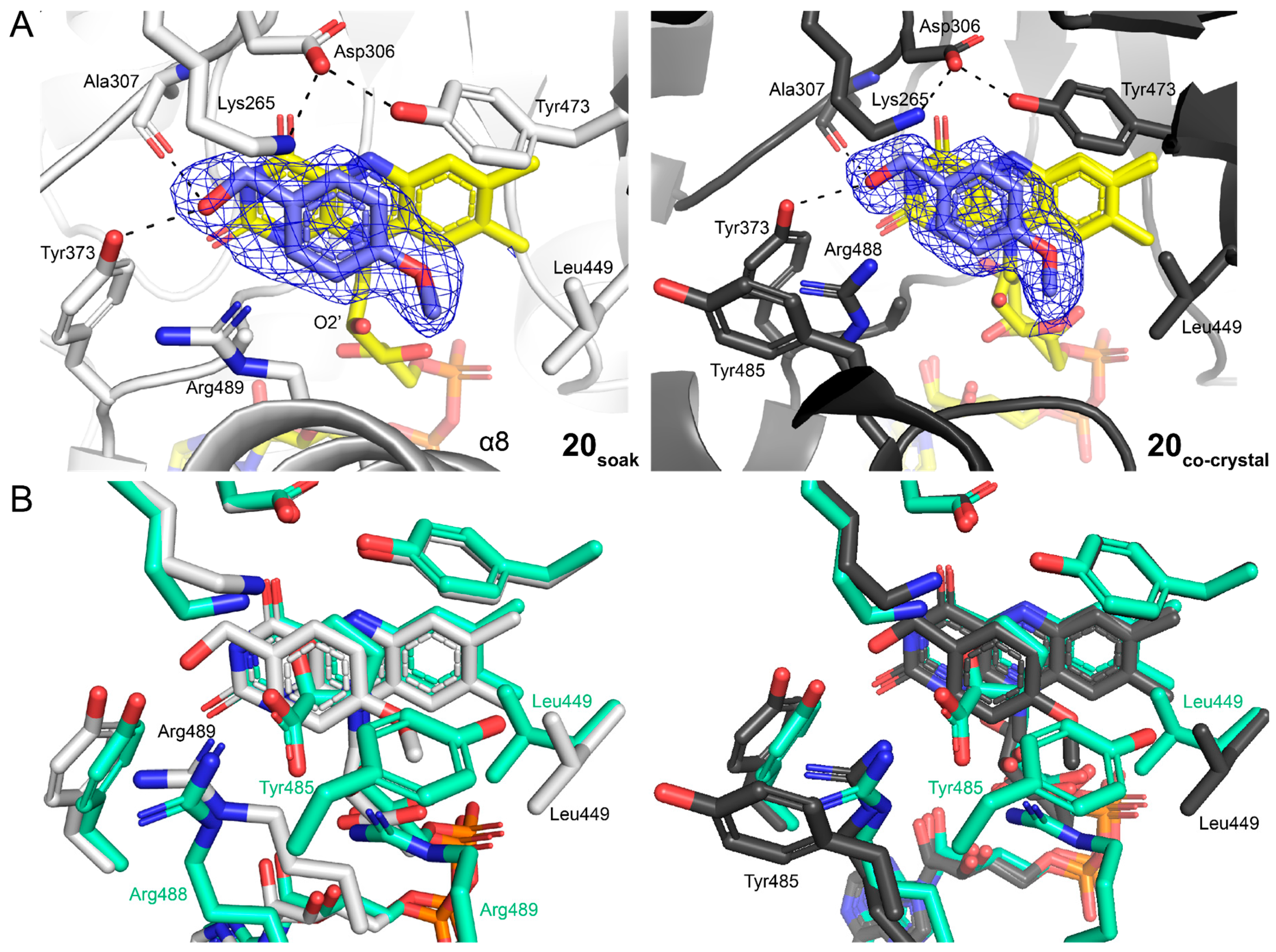 Molecules 29 05408 g007