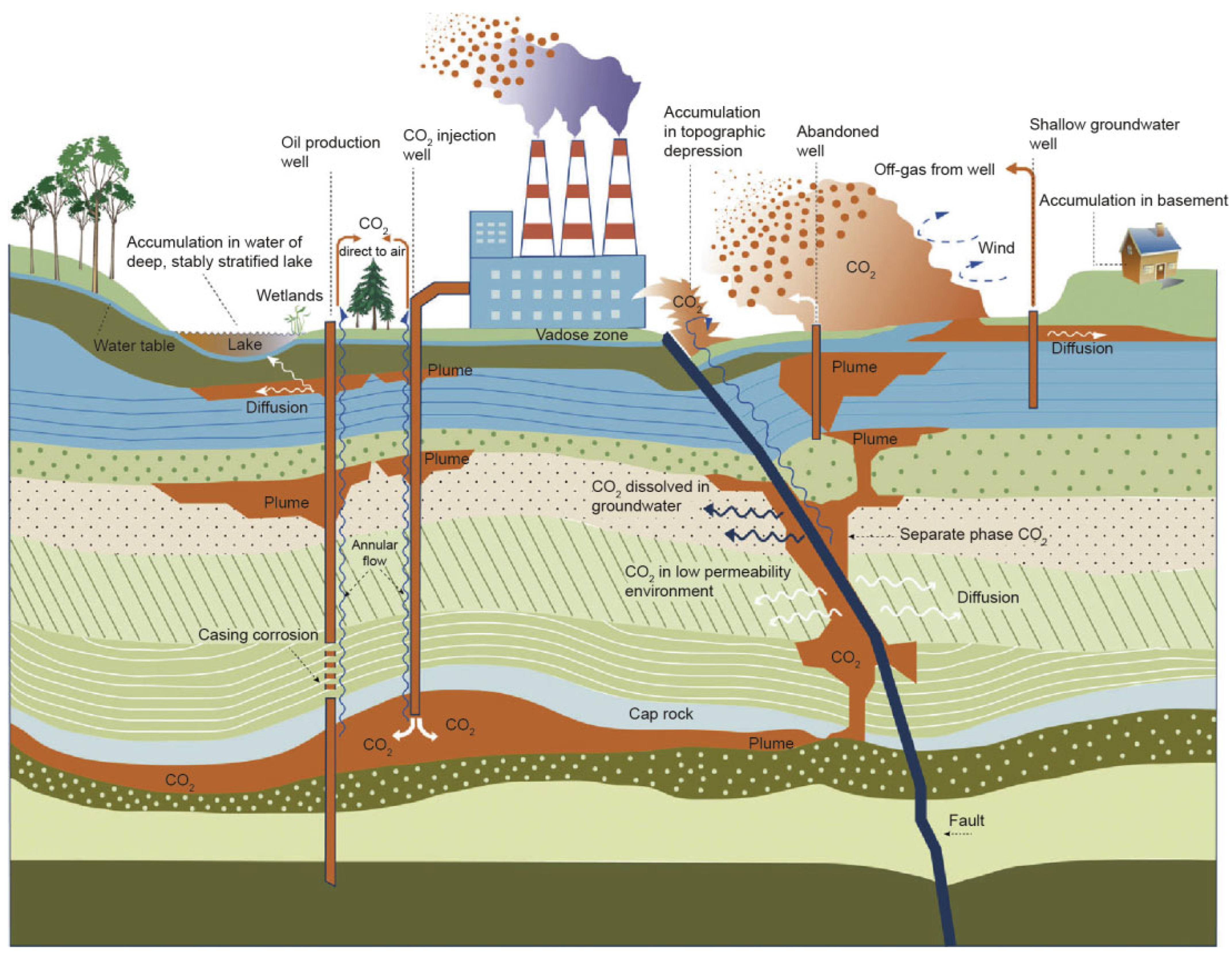 Molecules 29 05411 g001