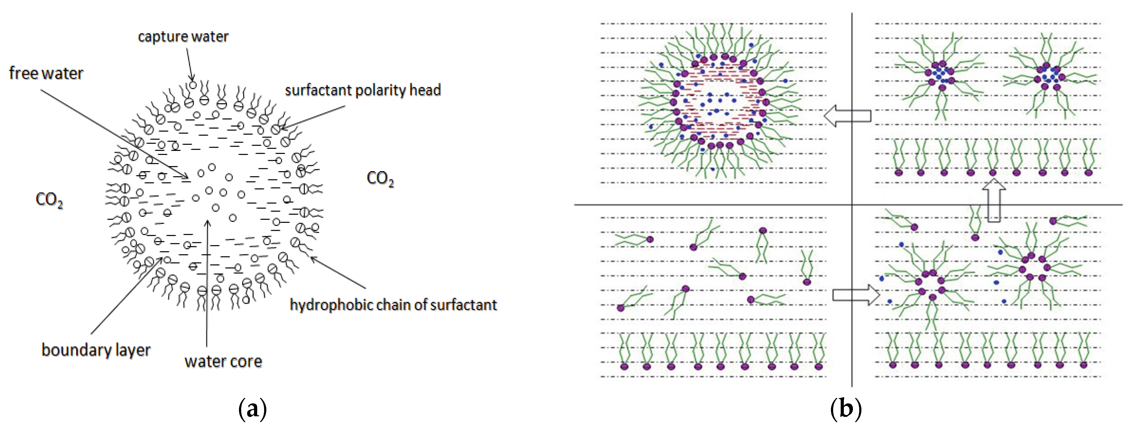 Molecules 29 05411 g008