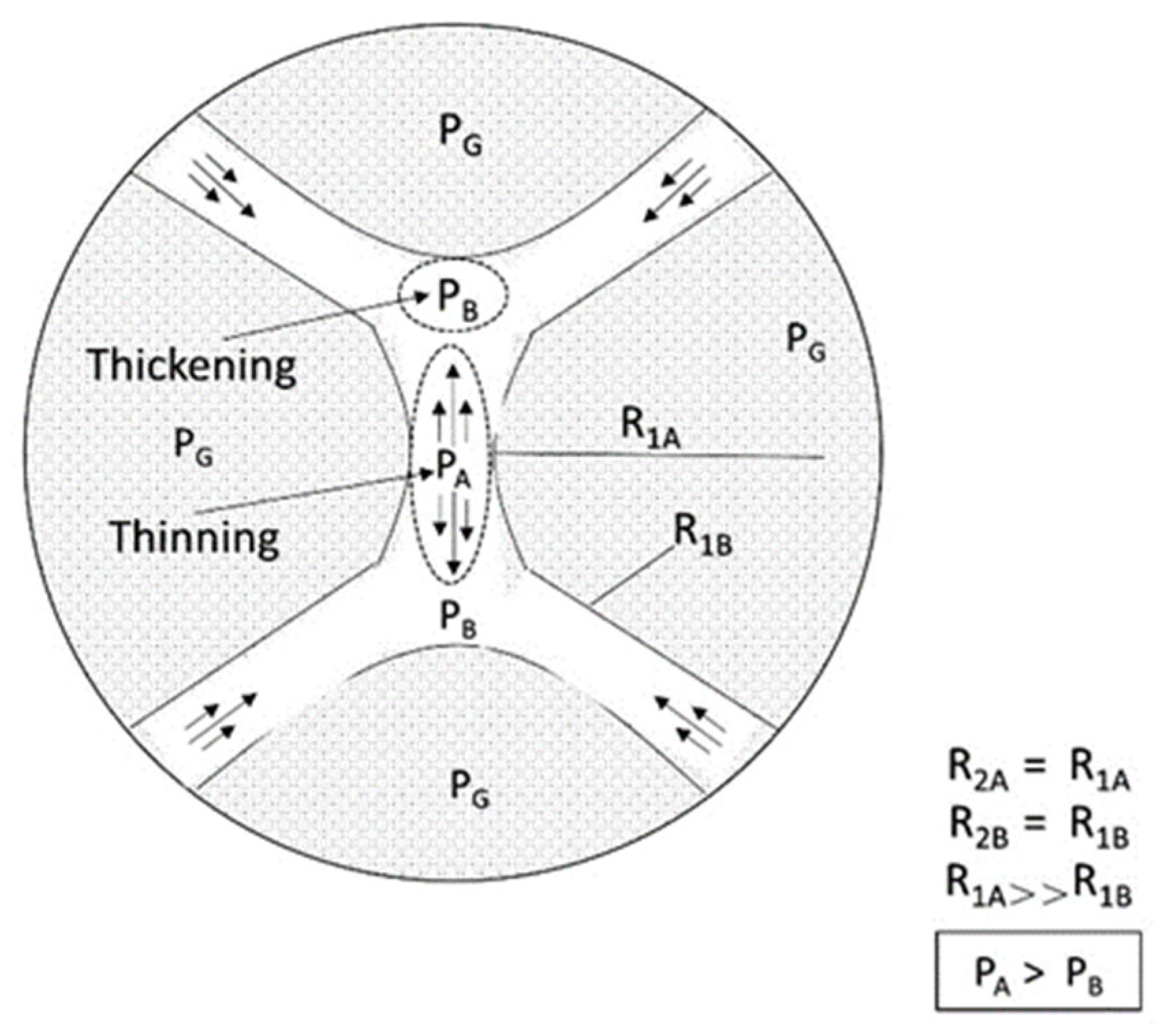 Molecules 29 05411 g012