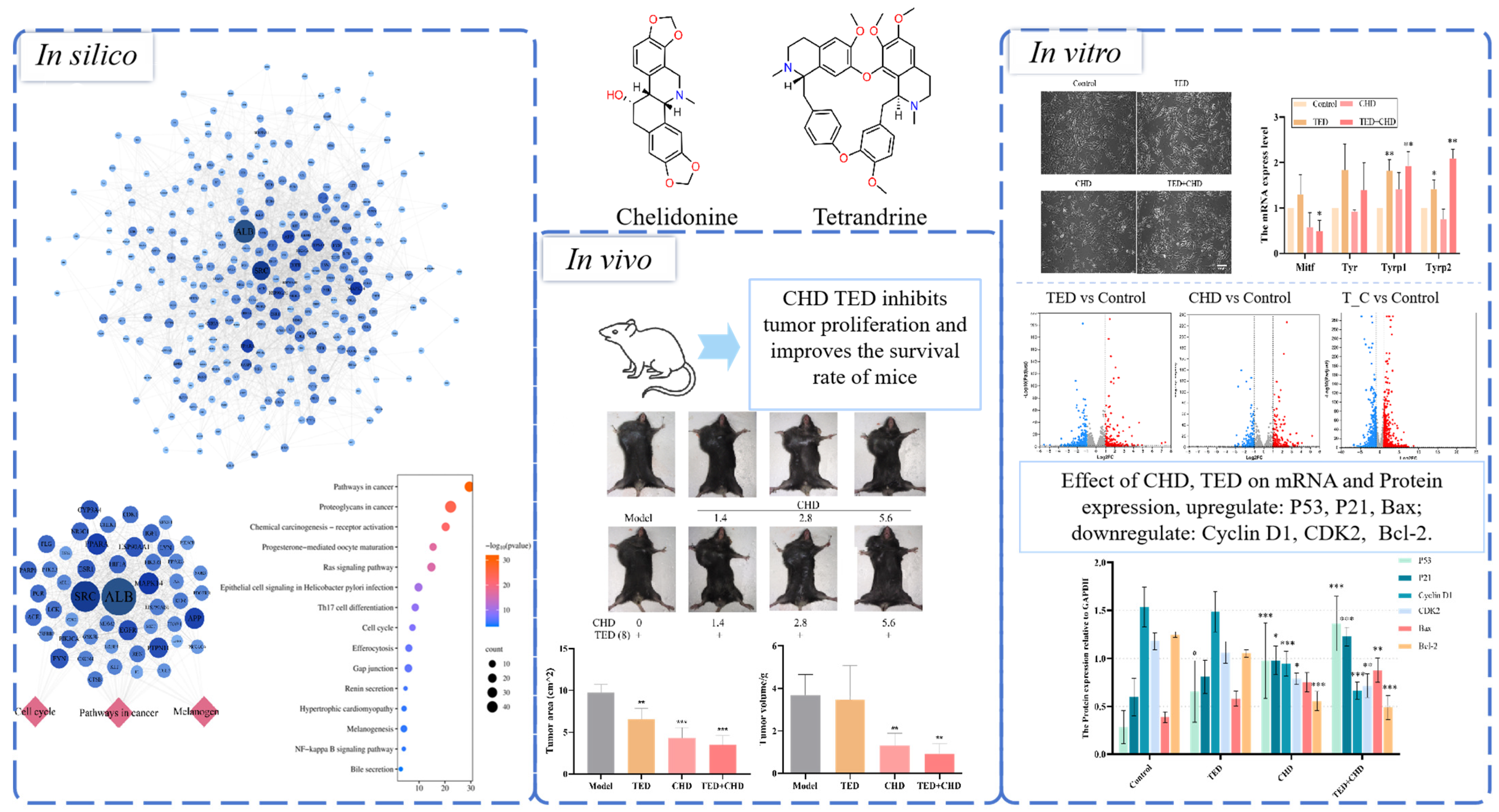 Molecules 29 05412 g001