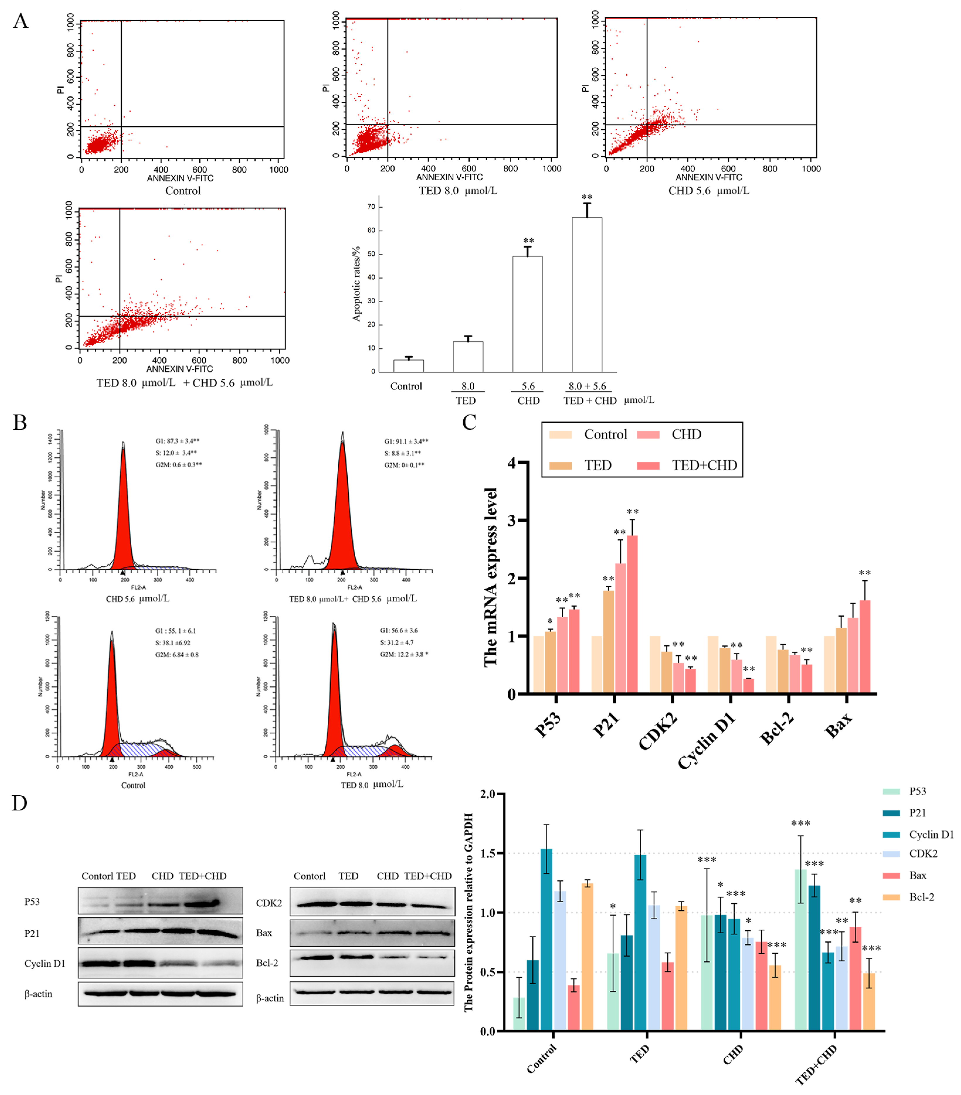 Molecules 29 05412 g006