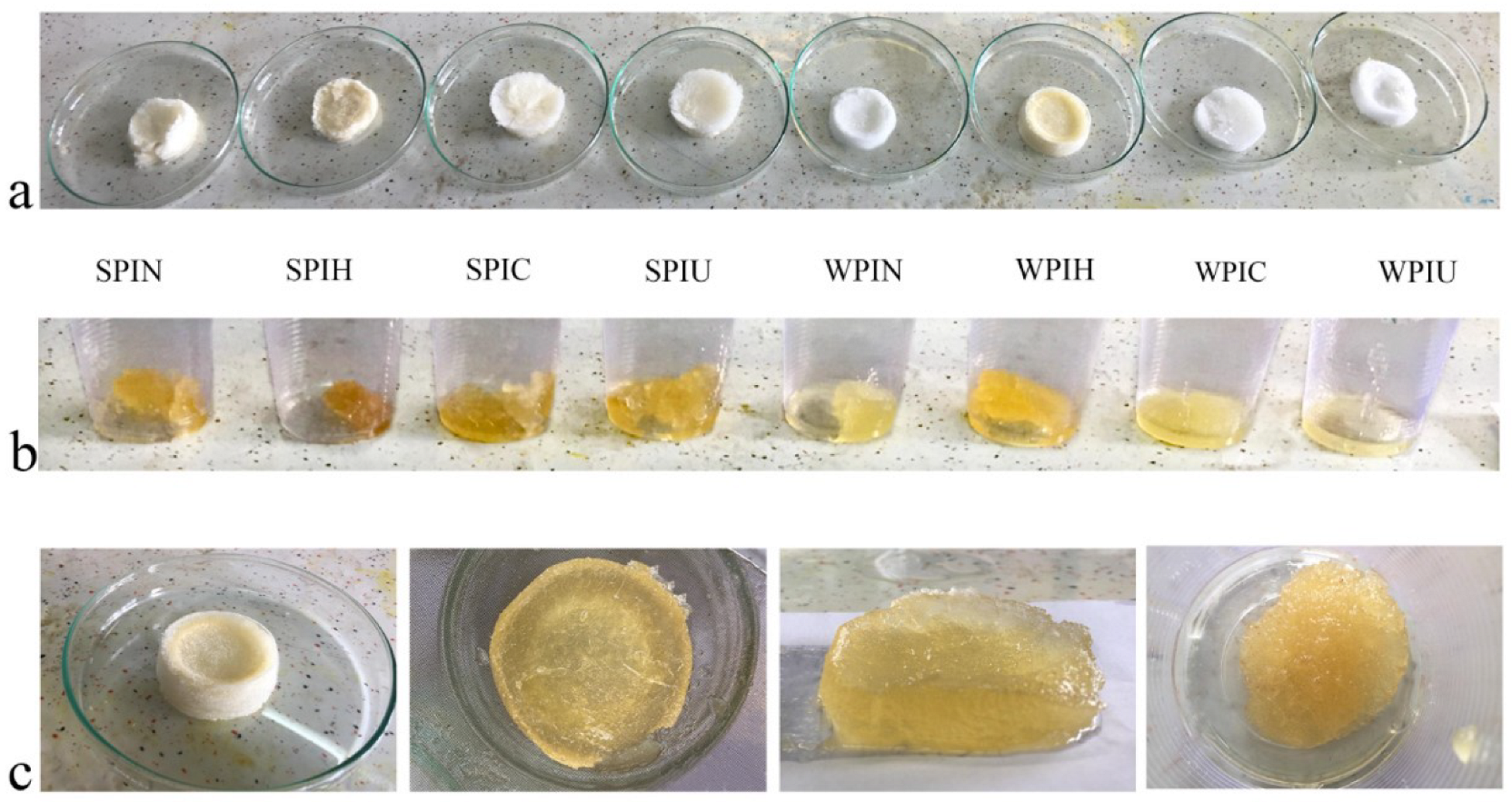 Molecules 29 05415 g005