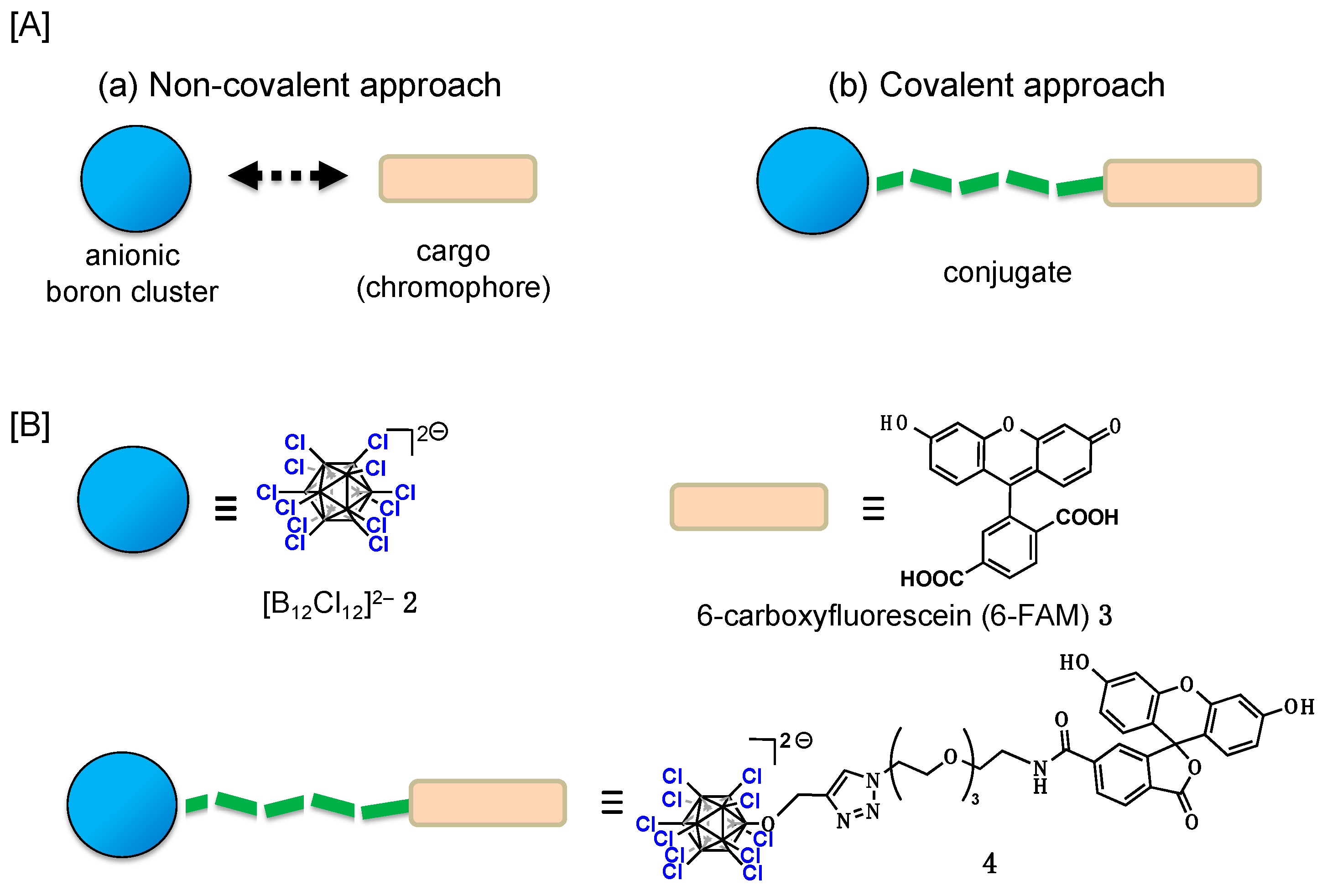 Molecules 29 05416 g001