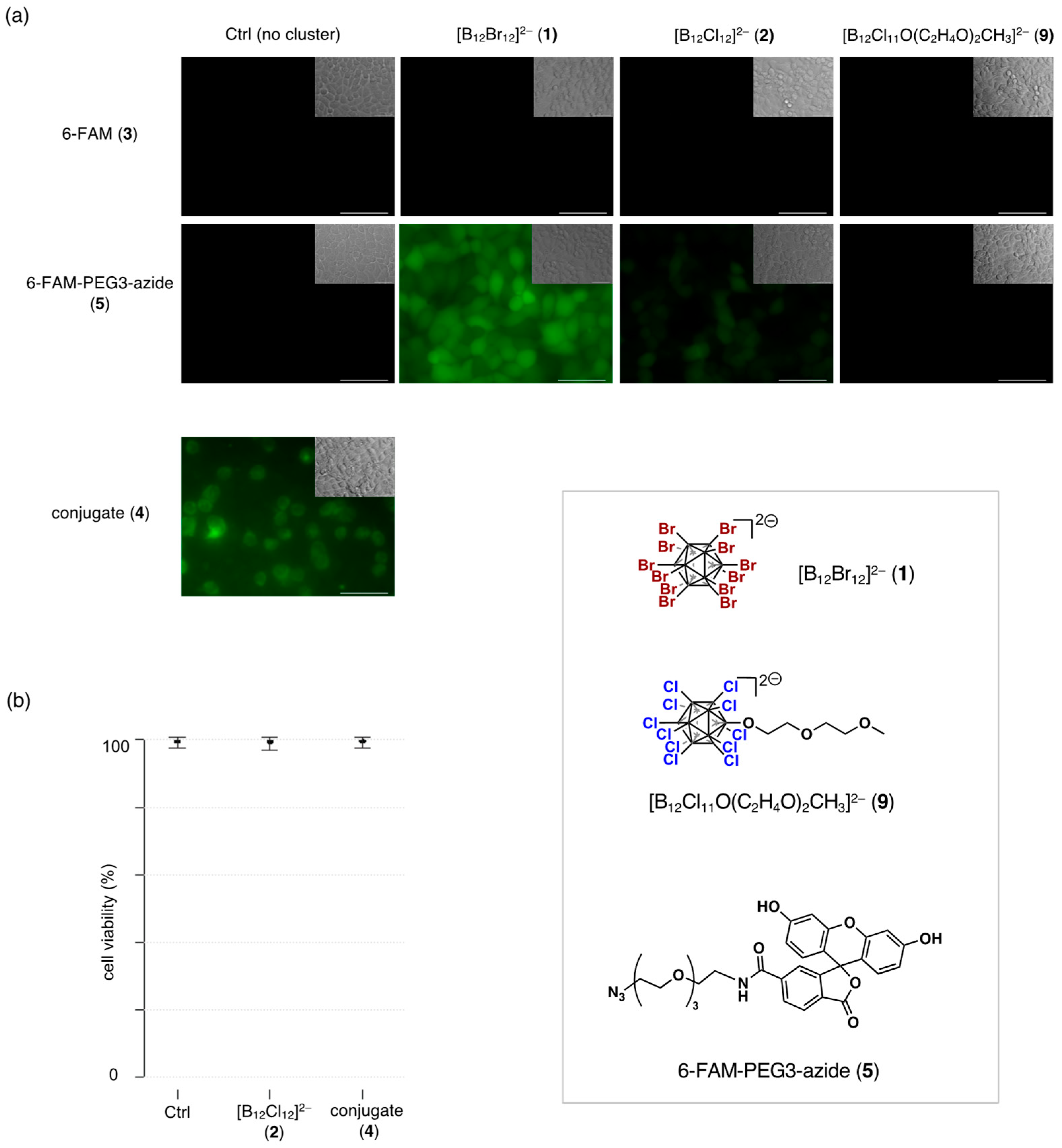 Molecules 29 05416 g003