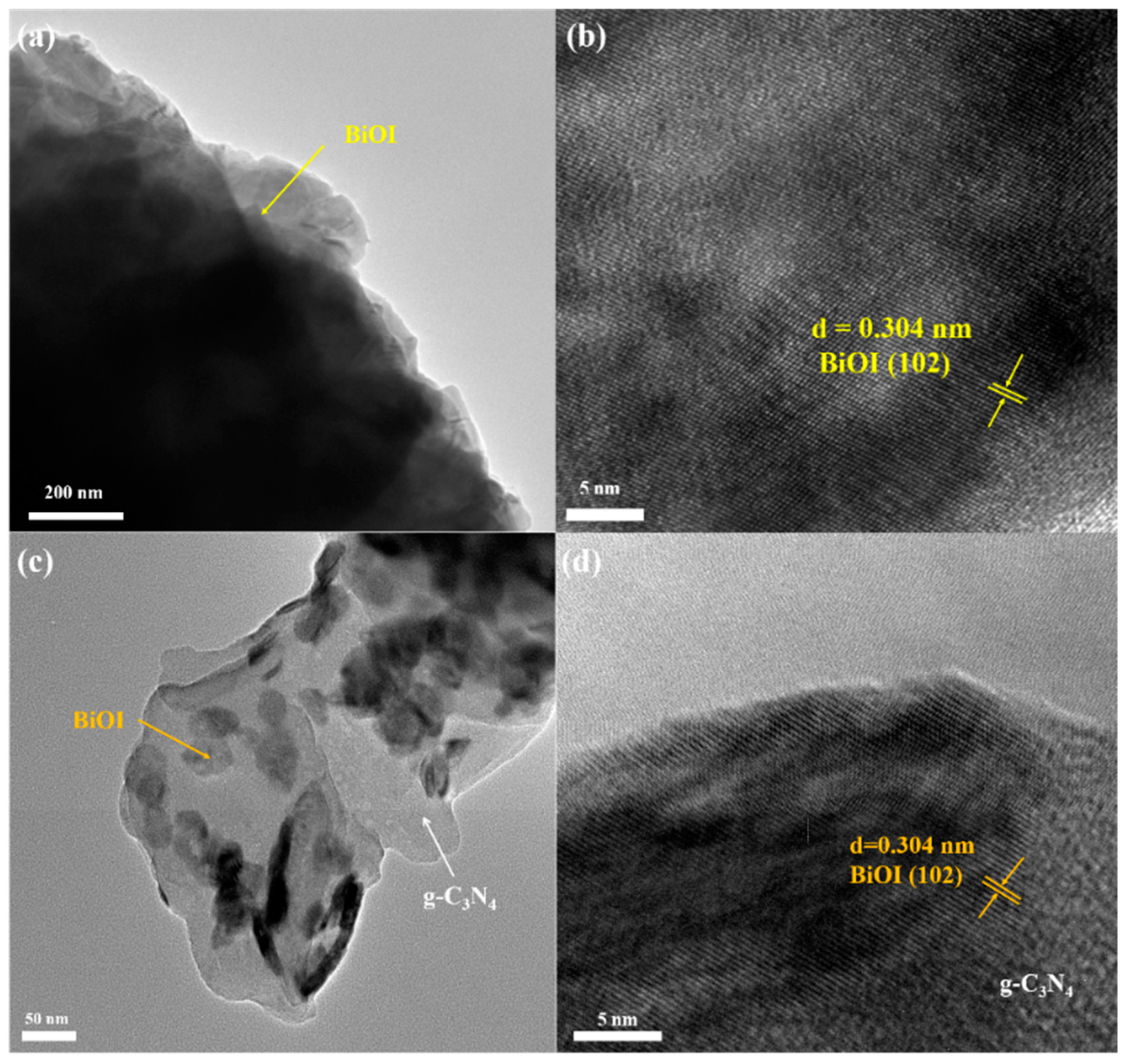 Molecules 29 05418 g004