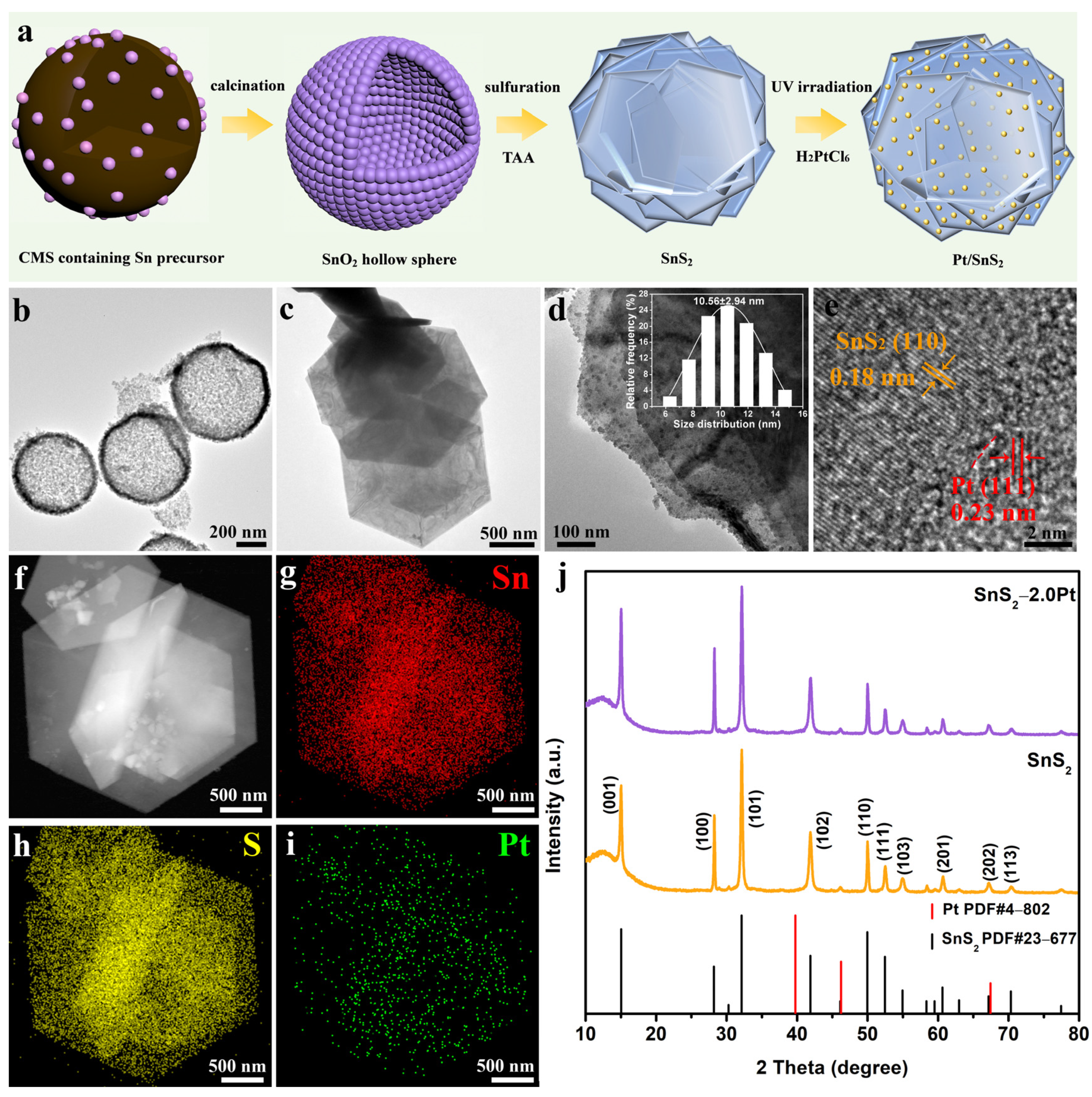 Molecules 29 05423 g001