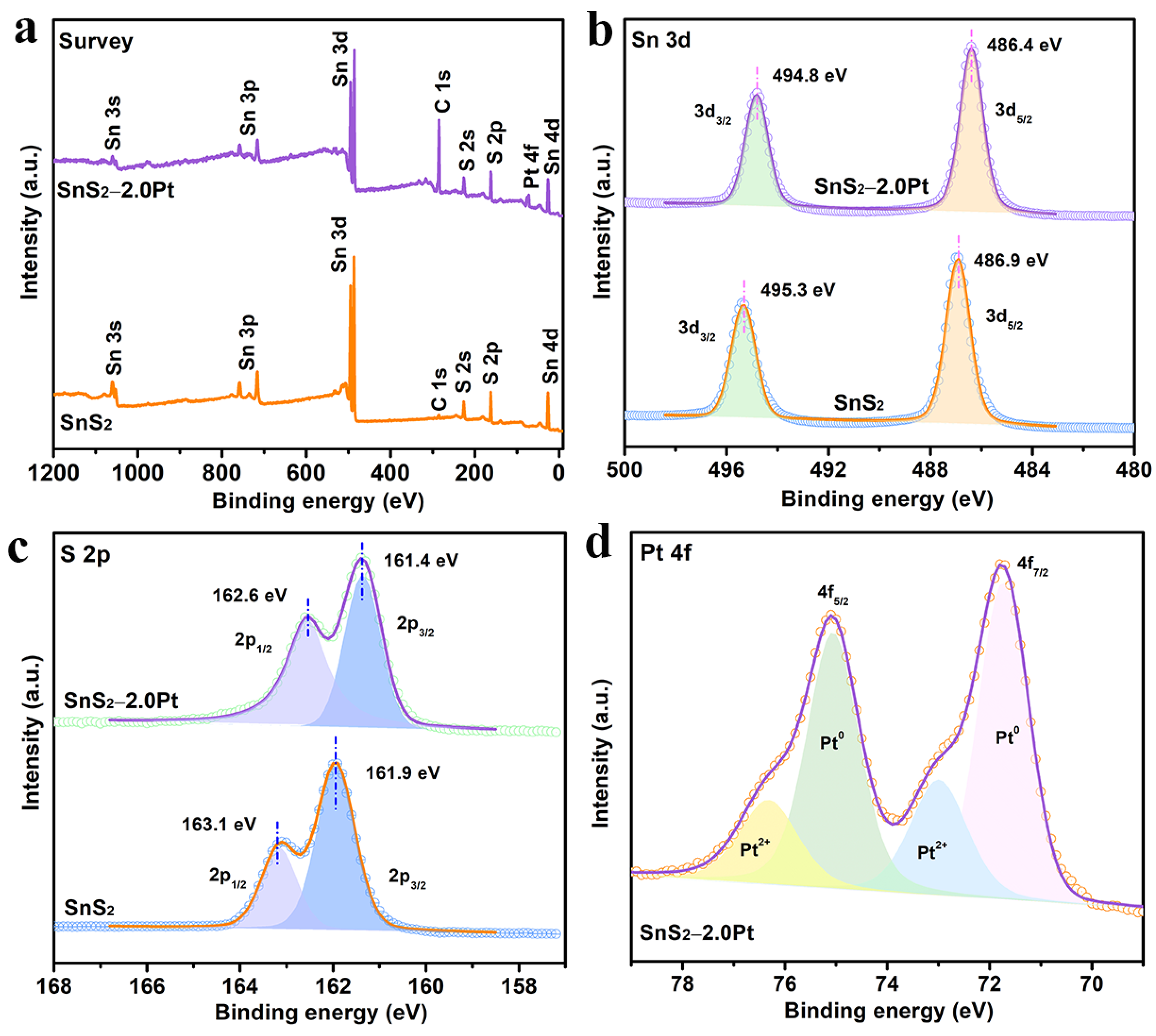 Molecules 29 05423 g002