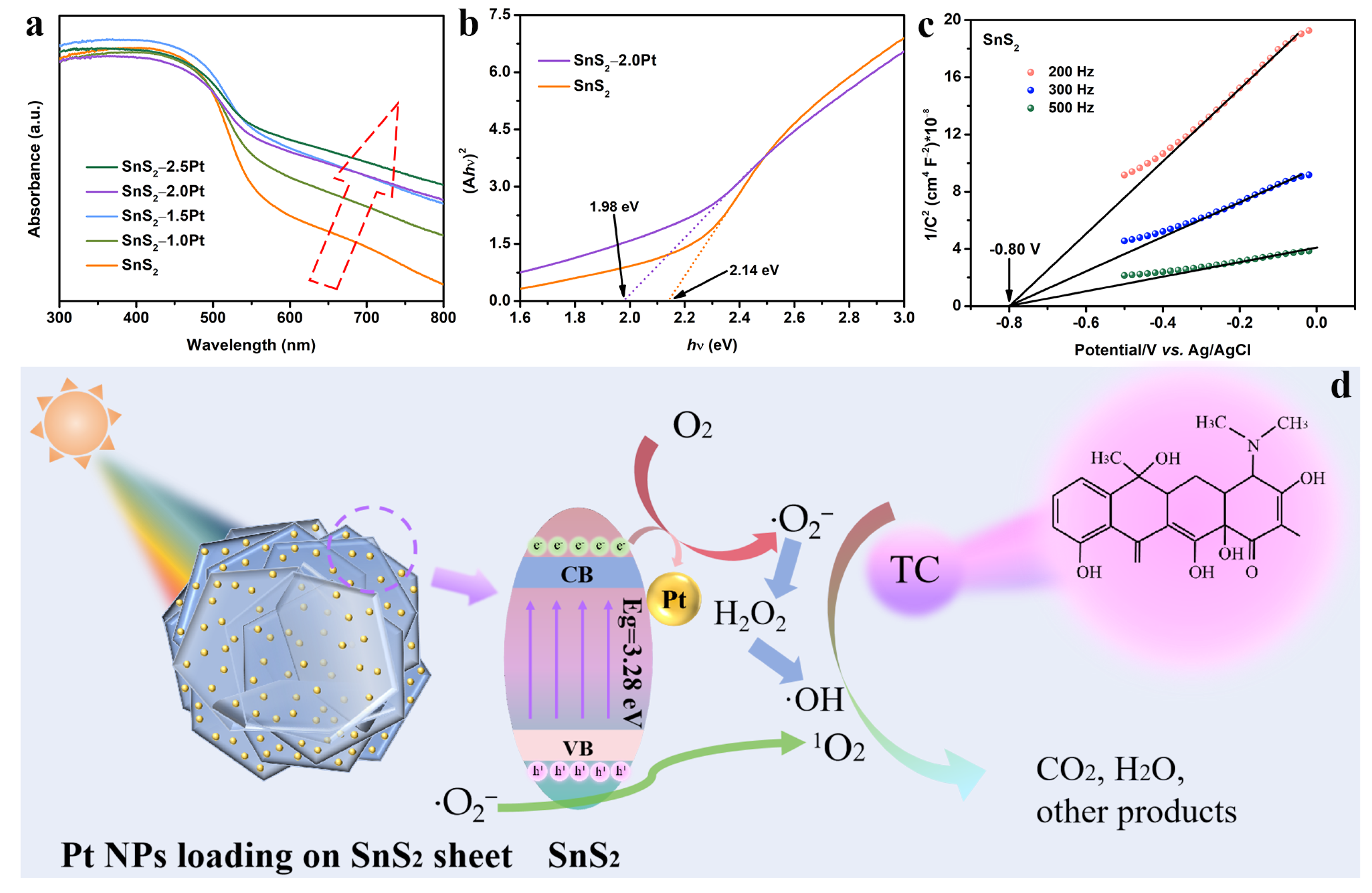 Molecules 29 05423 g006