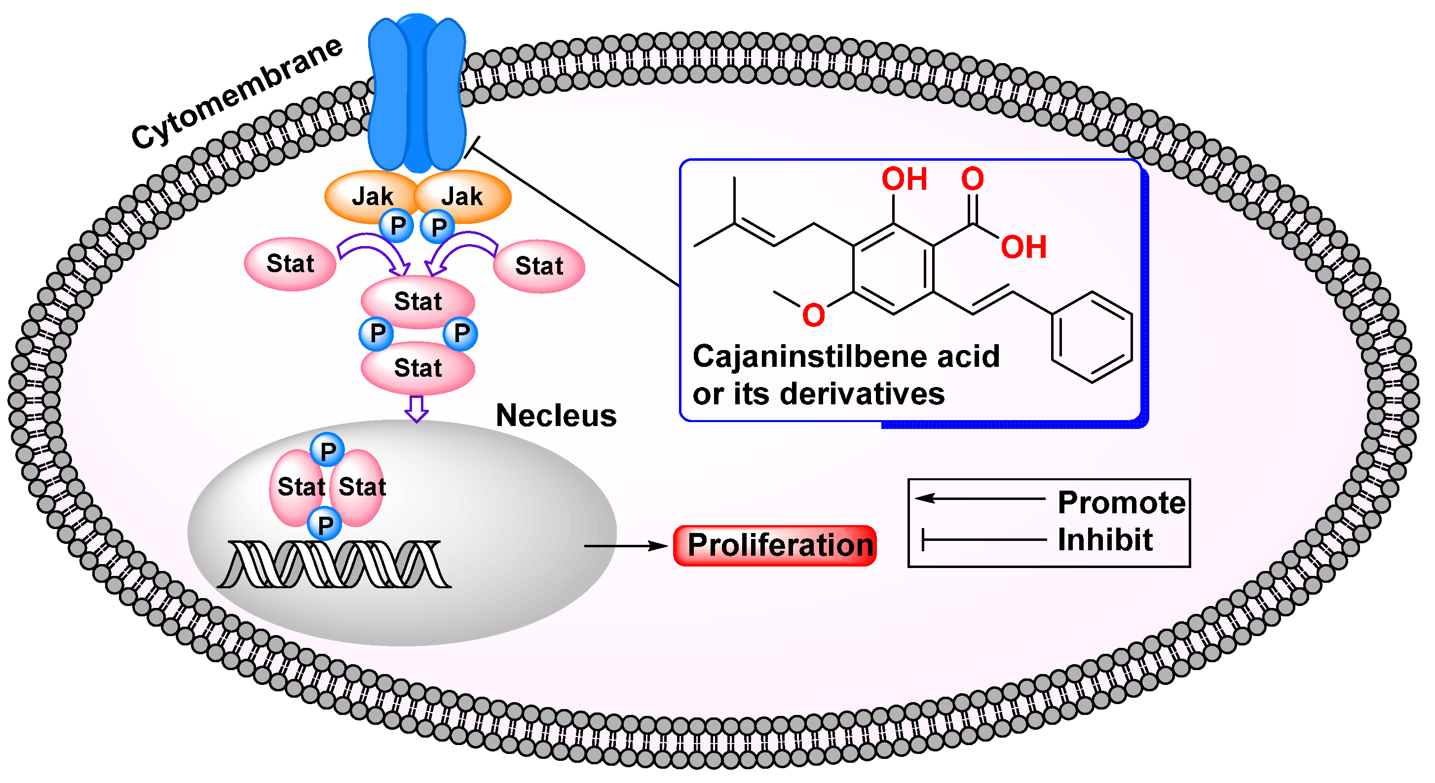 Molecules 29 05440 g003 Molecules 29 05440 g003