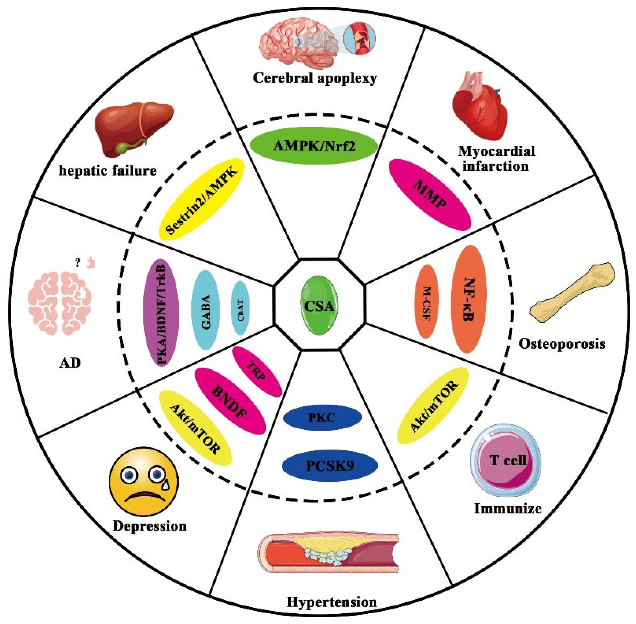 Molecules 29 05440 g004 Molecules 29 05440 g004