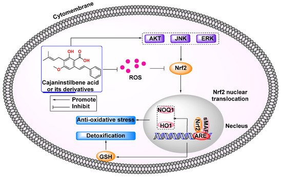 Cajaninstilbene Acid and Its Derivative as Multi-Therapeutic