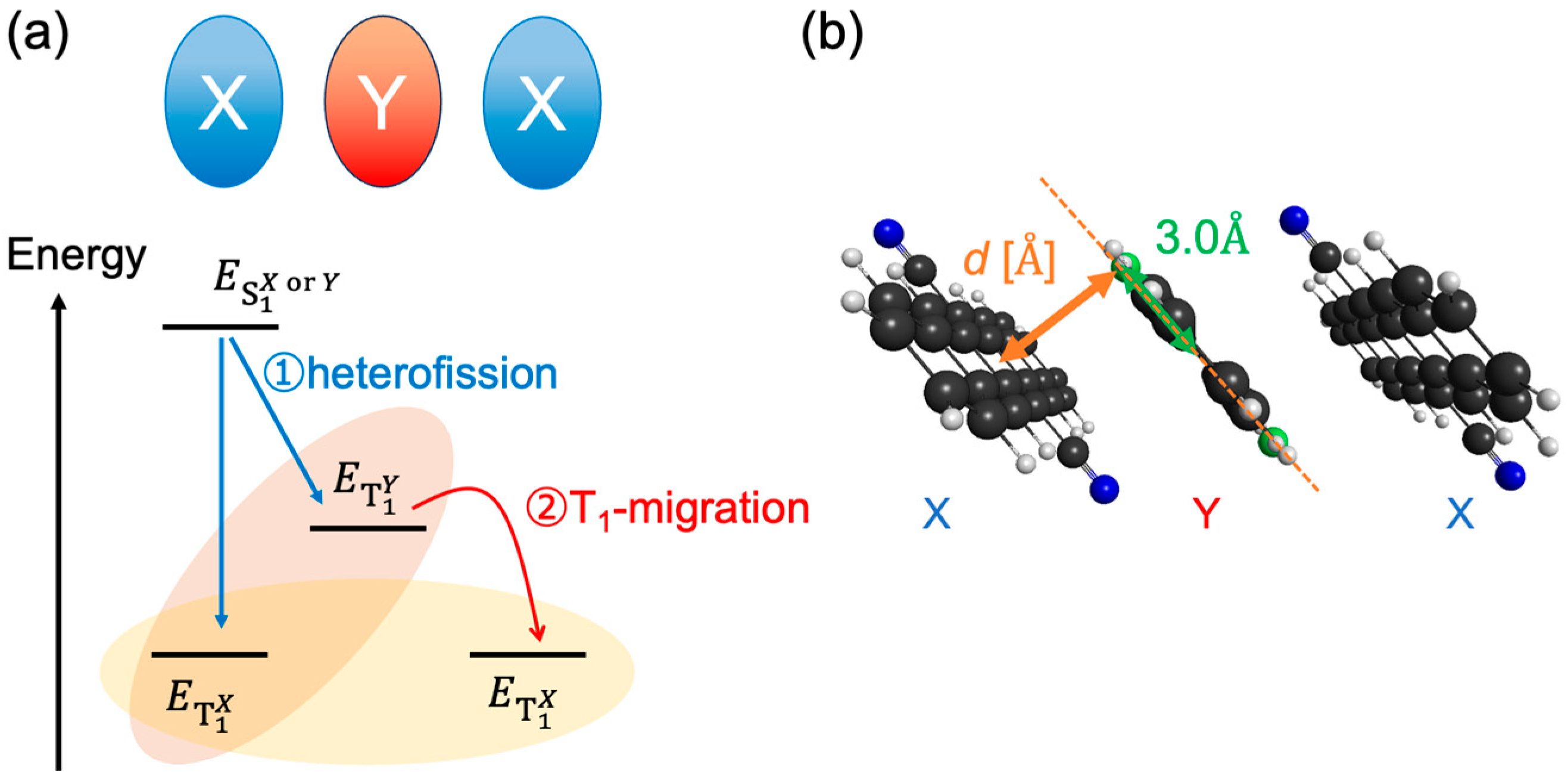 Molecules 29 05449 g001