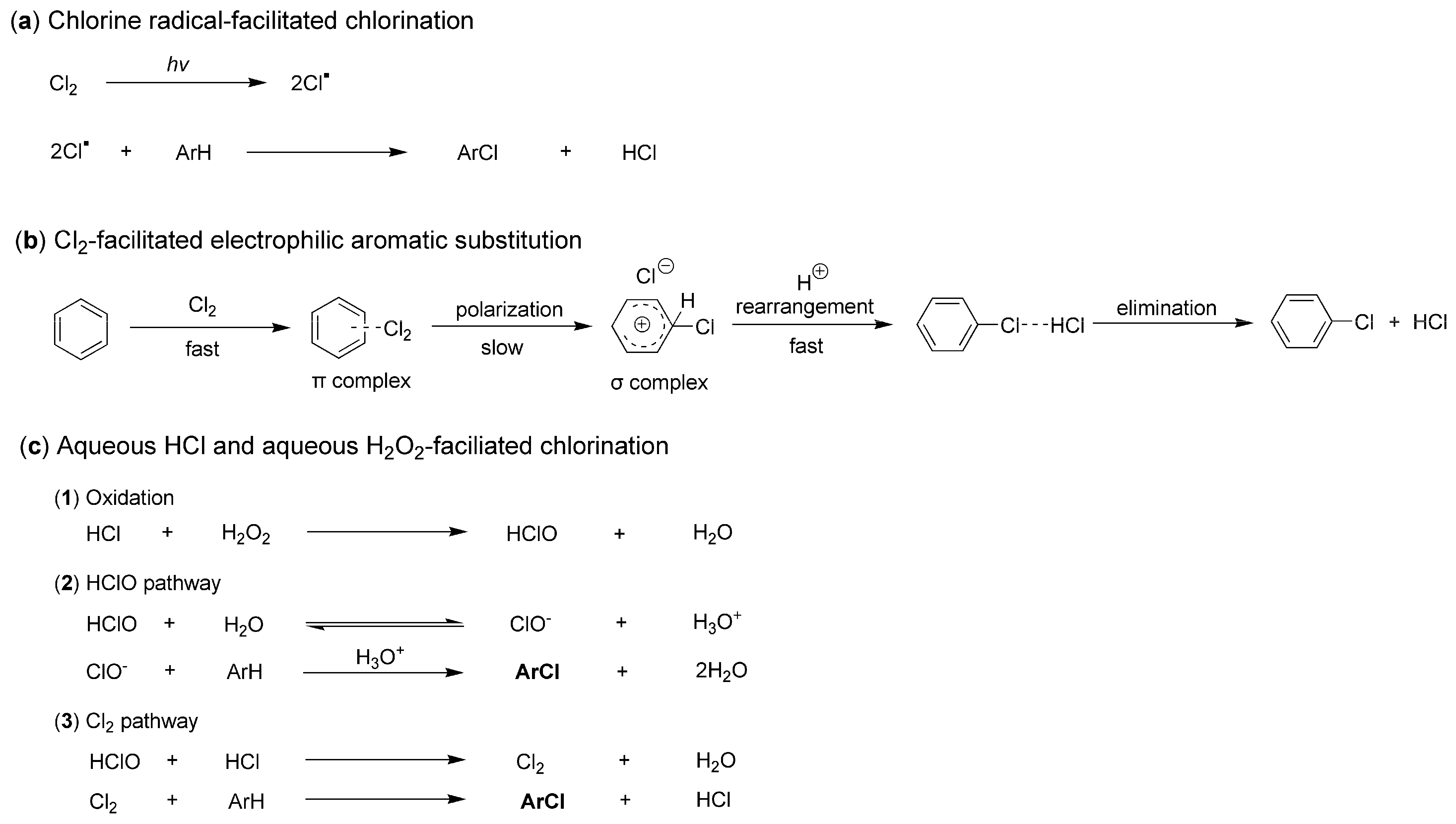 Molecules 29 05451 g002