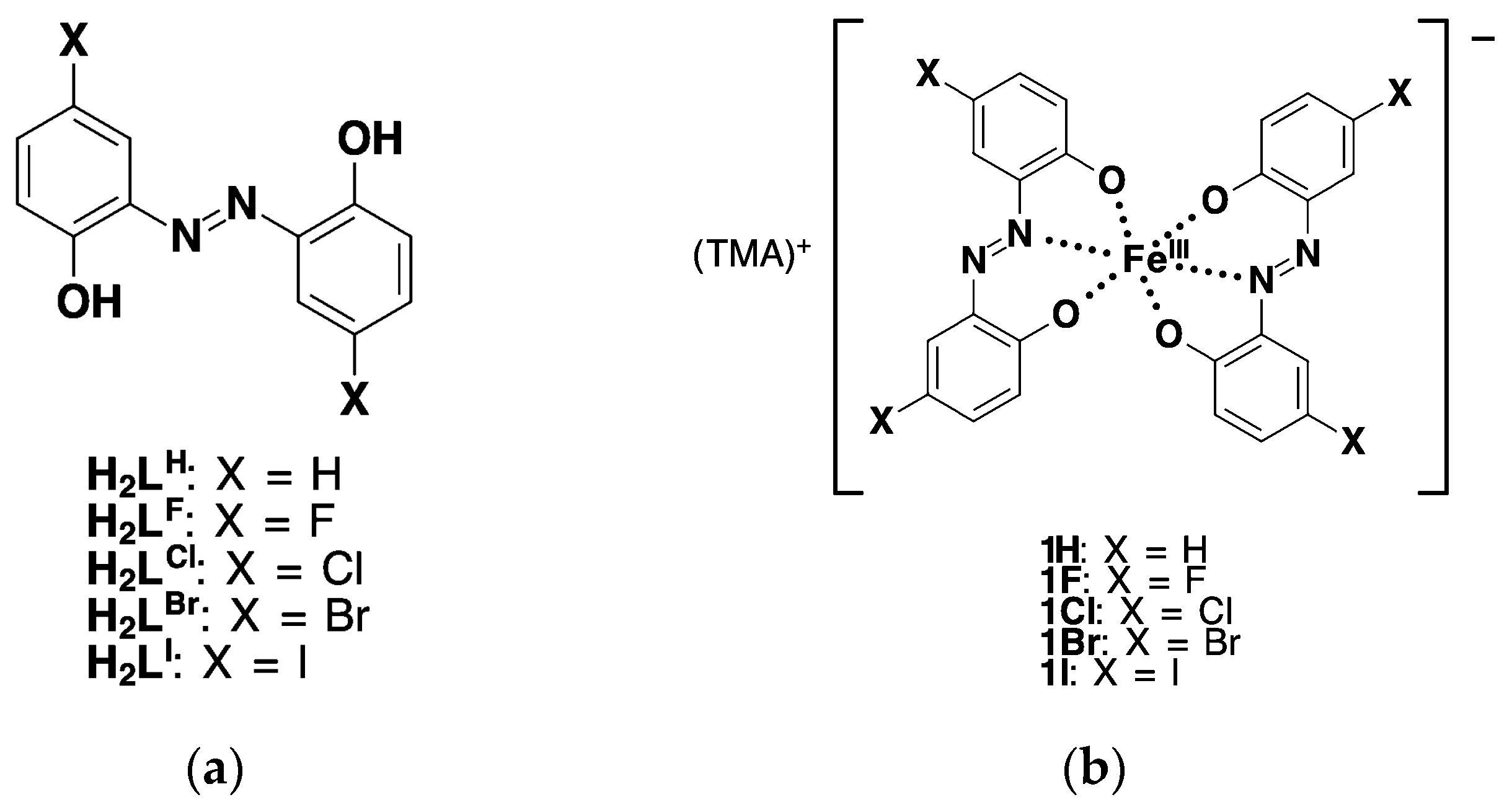 Molecules 29 05473 g001