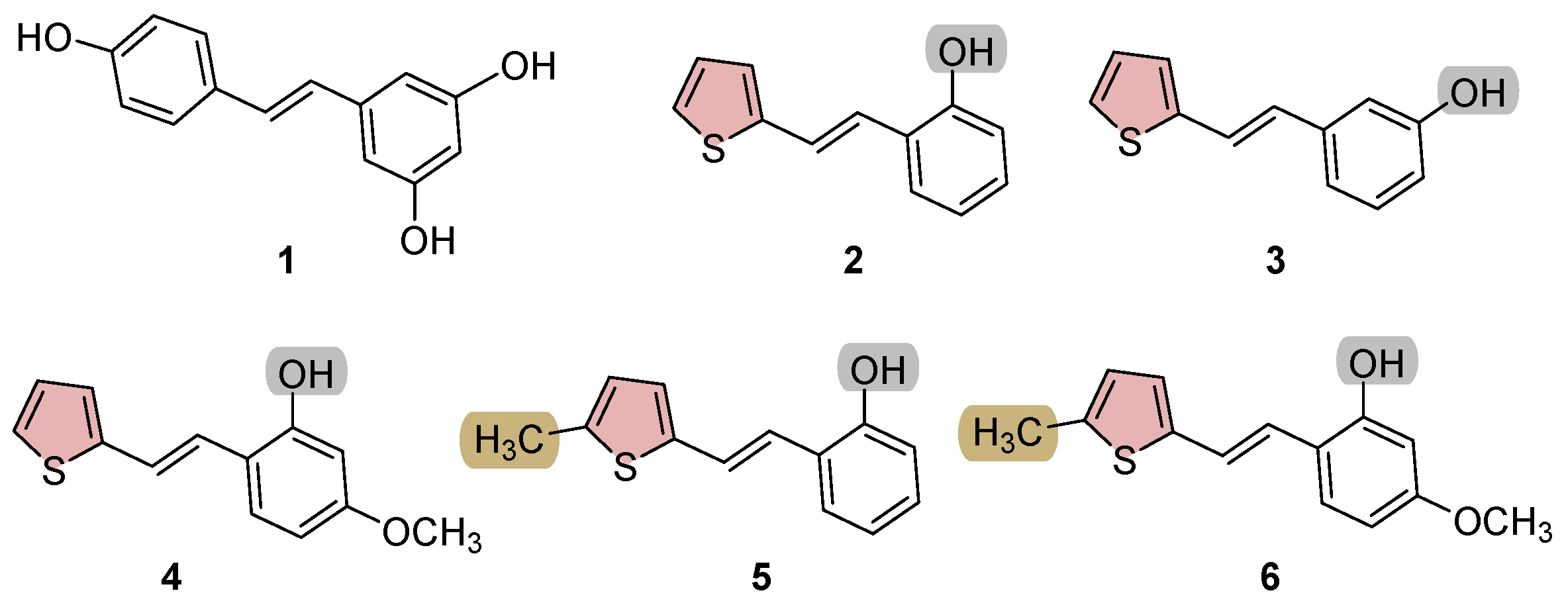 Molecules 29 05481 g001