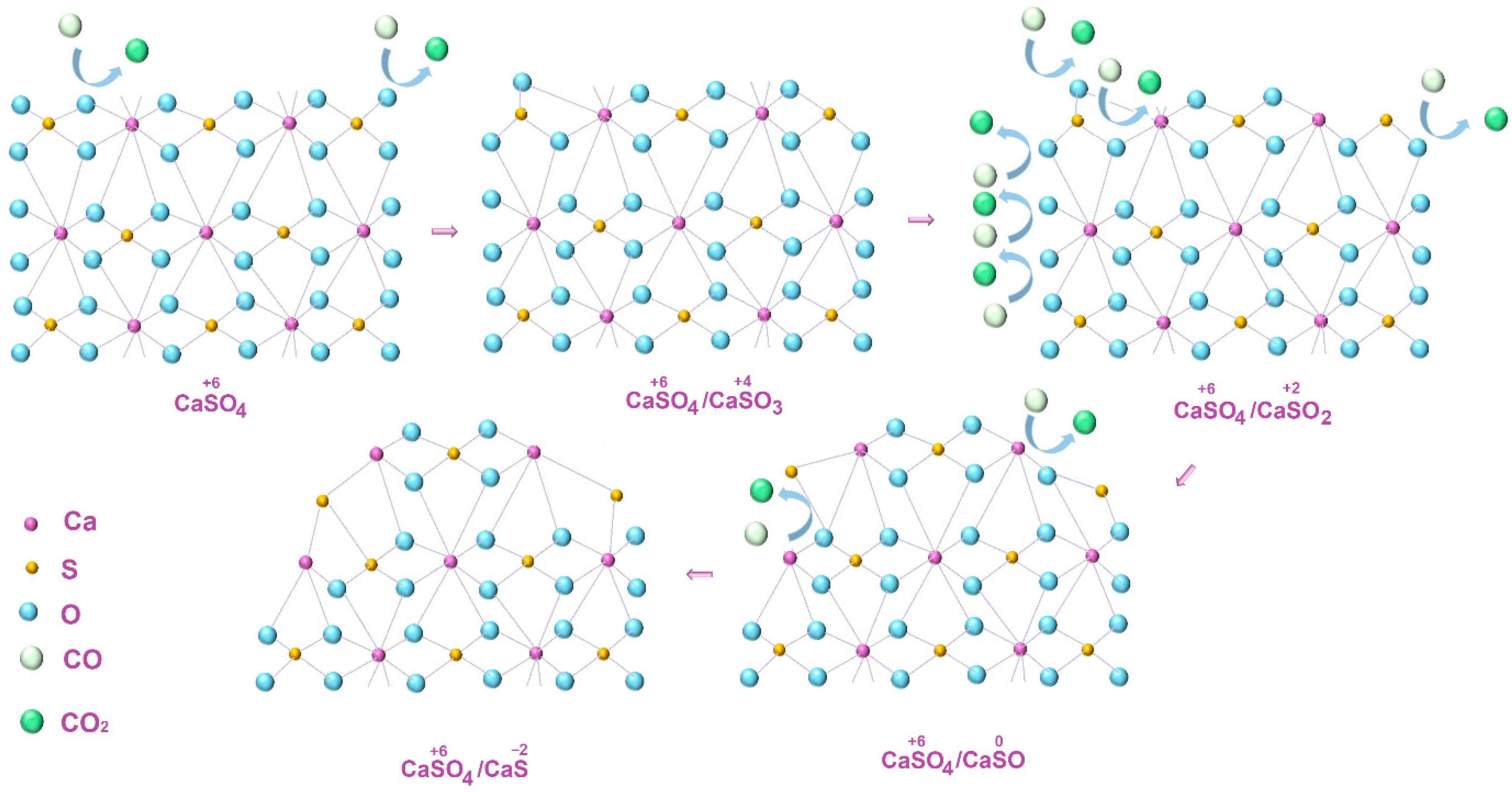 Molecules 29 05486 g003