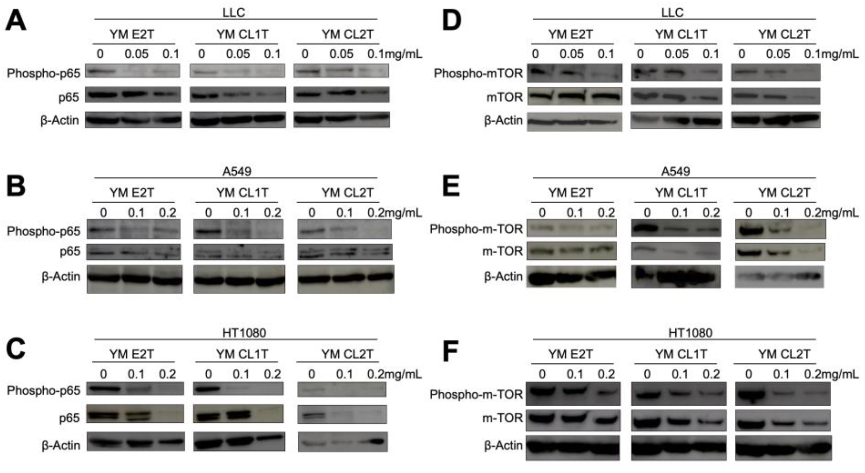Molecules 29 05490 g004